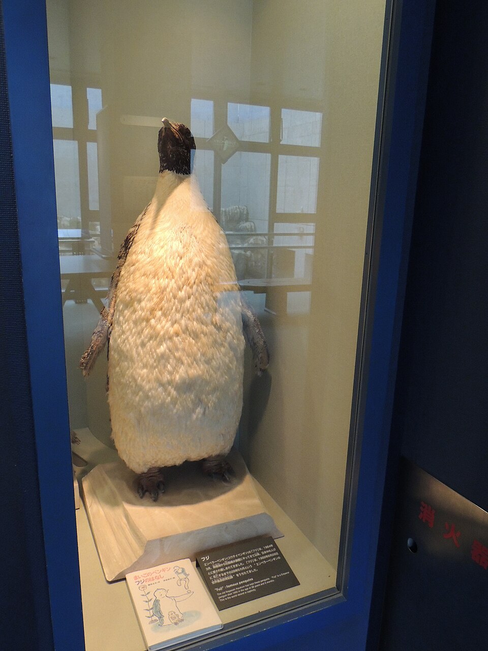 長崎ペンギン水族館