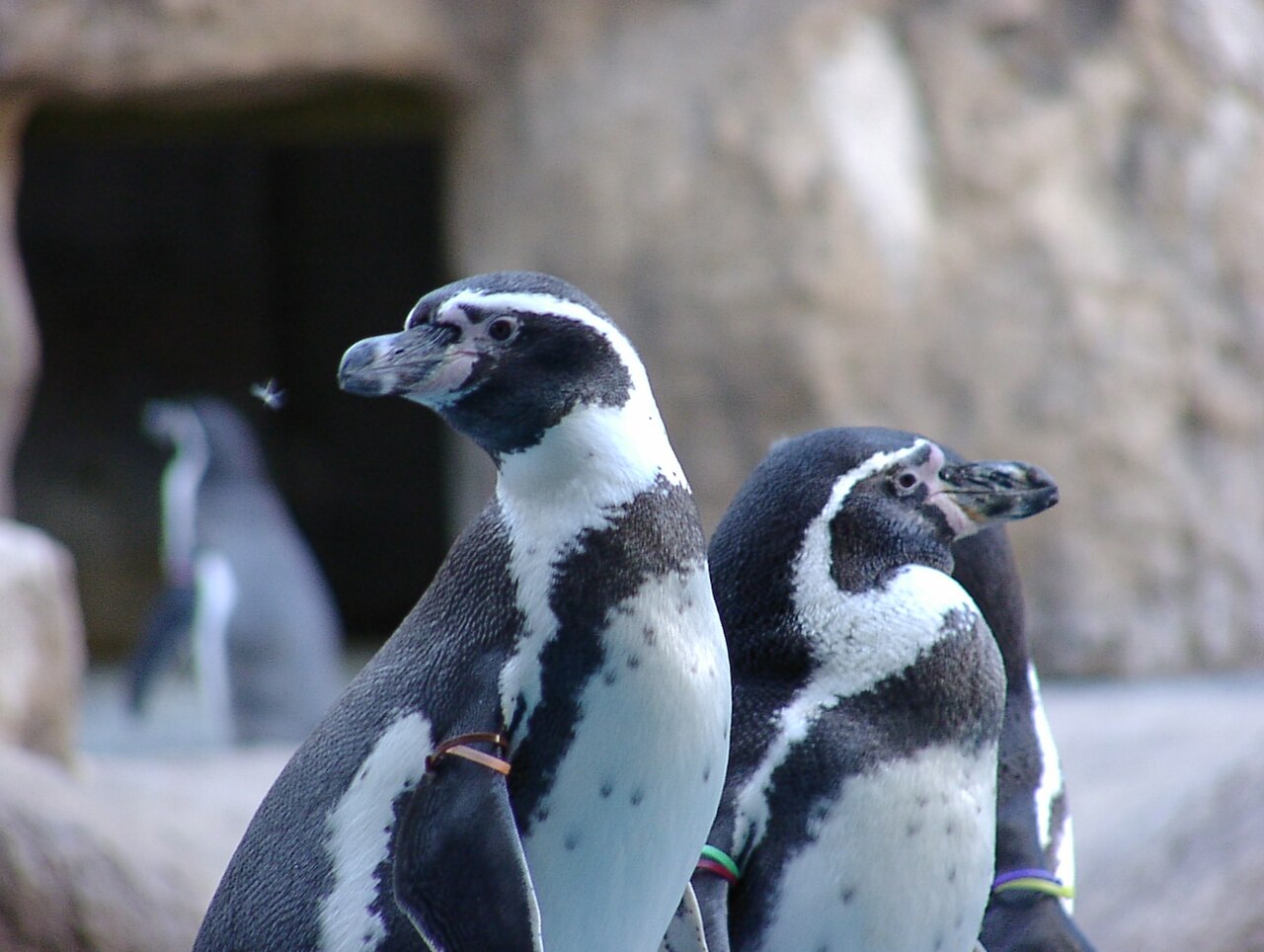 長崎ペンギン水族館の外観