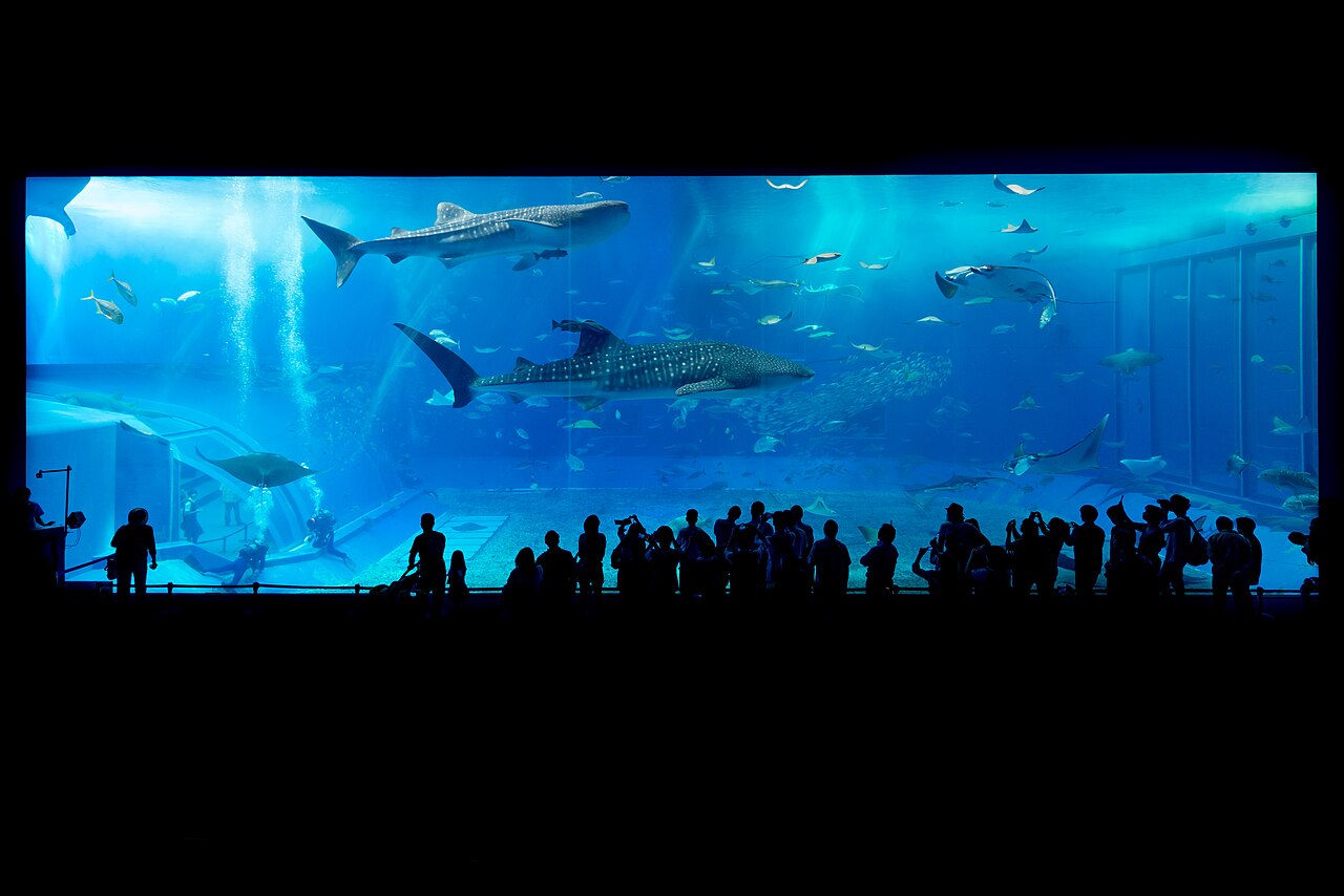 美ら海水族館の外観