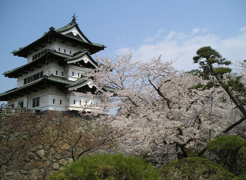 弘前城の桜の外観