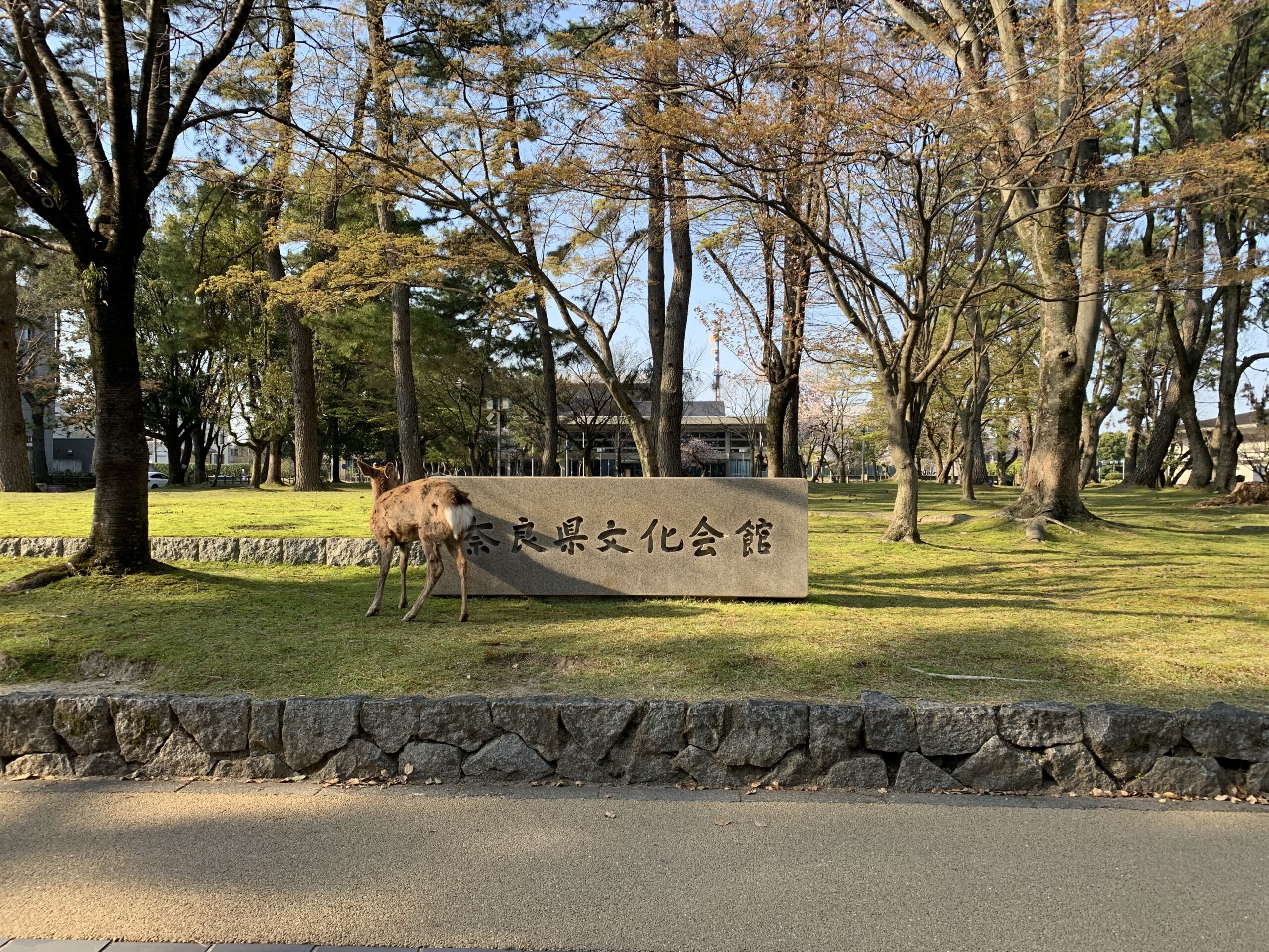 奈良県文化会館の外観