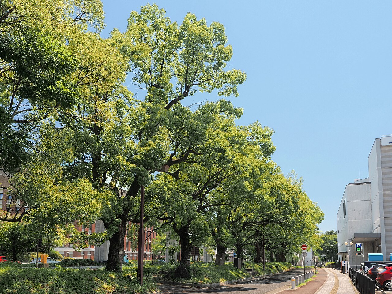 上野学園ホールの外観