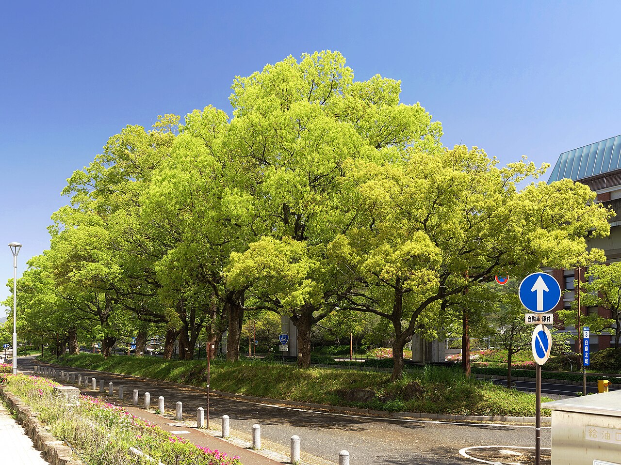 上野学園ホールの外観