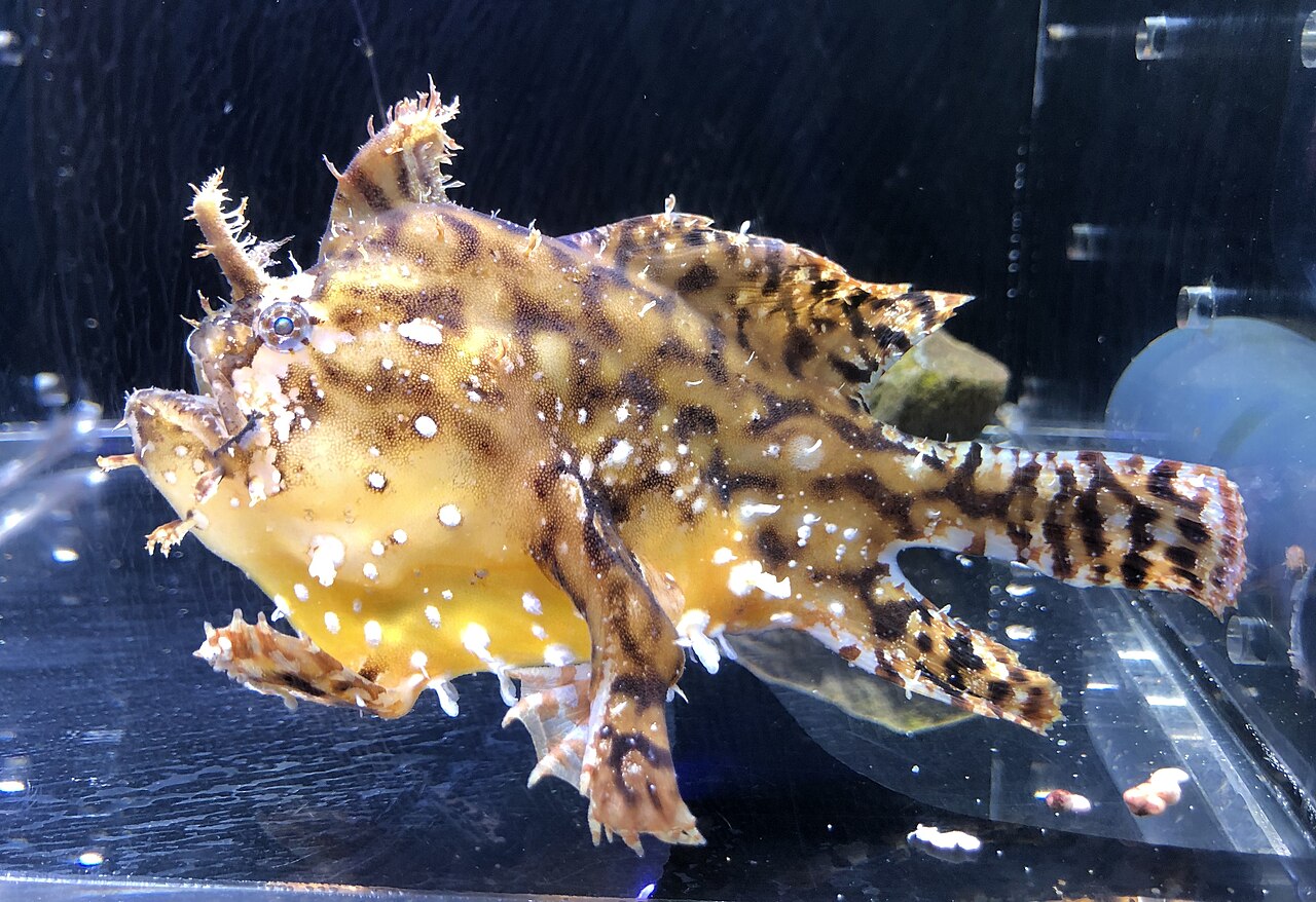 下田海中水族館の外観