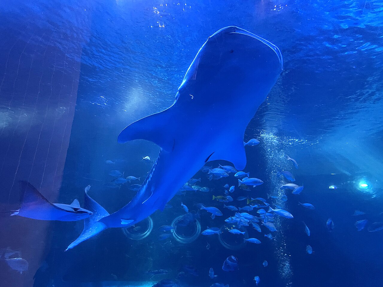 のとじま水族館の外観