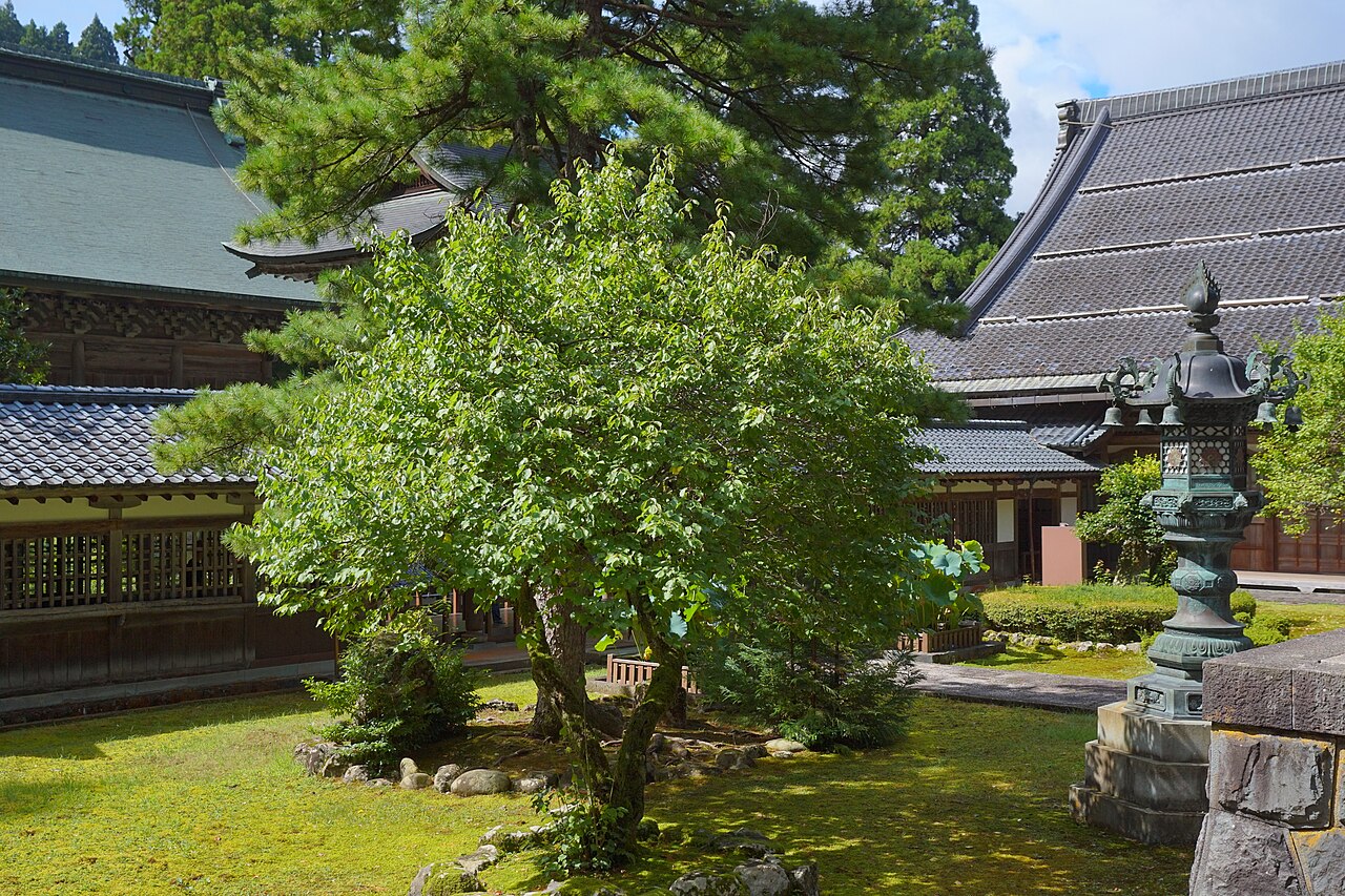永平寺の参道