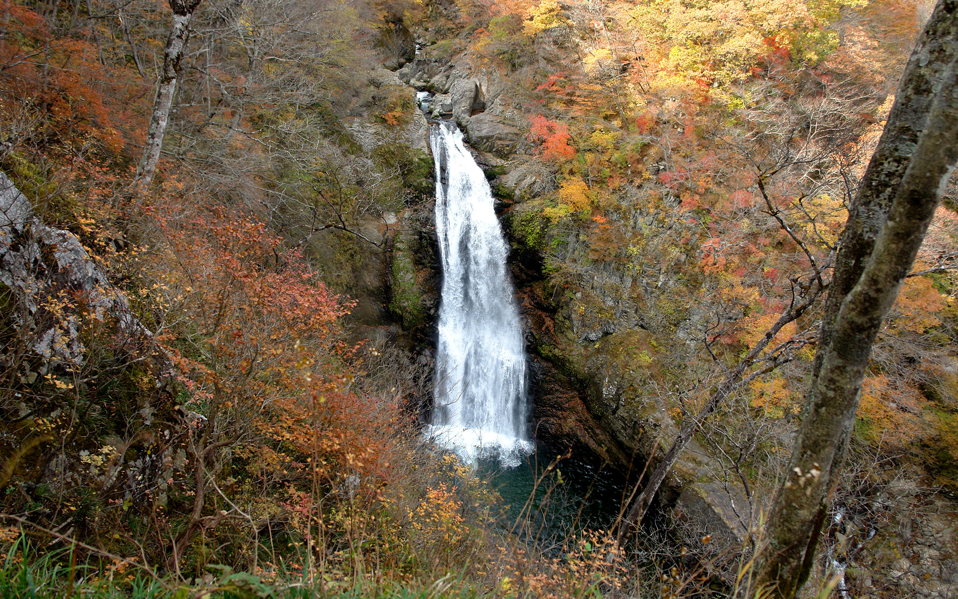秋保大滝の風景