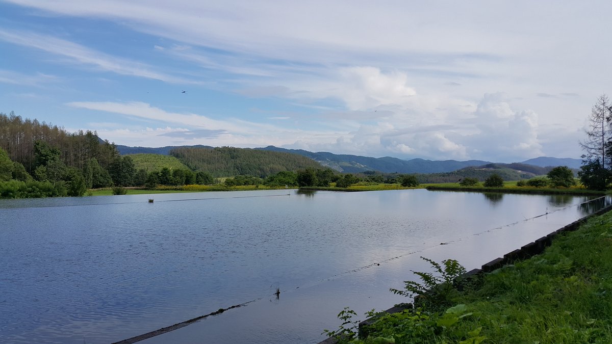 富良野の池と自然風景