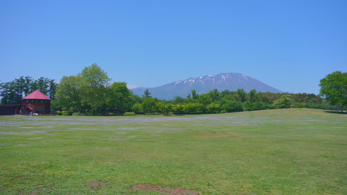 小岩井農場から岩手山を望む風景