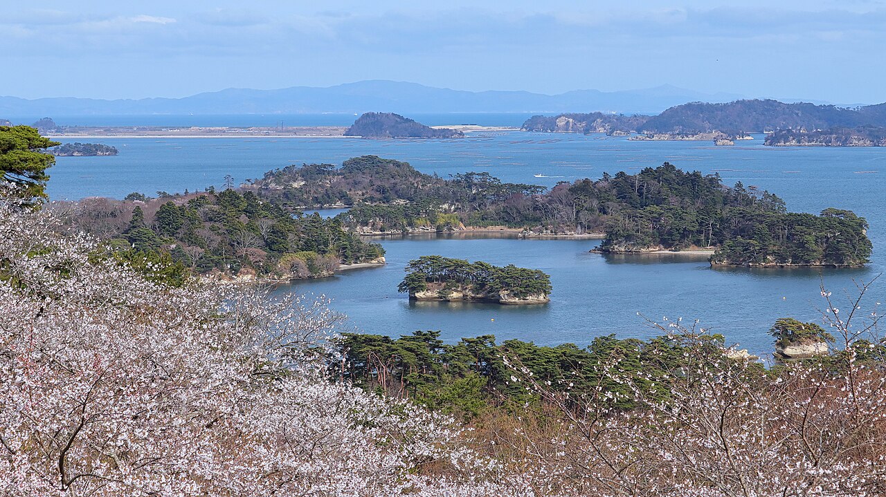 松島湾の桜と島々の風景