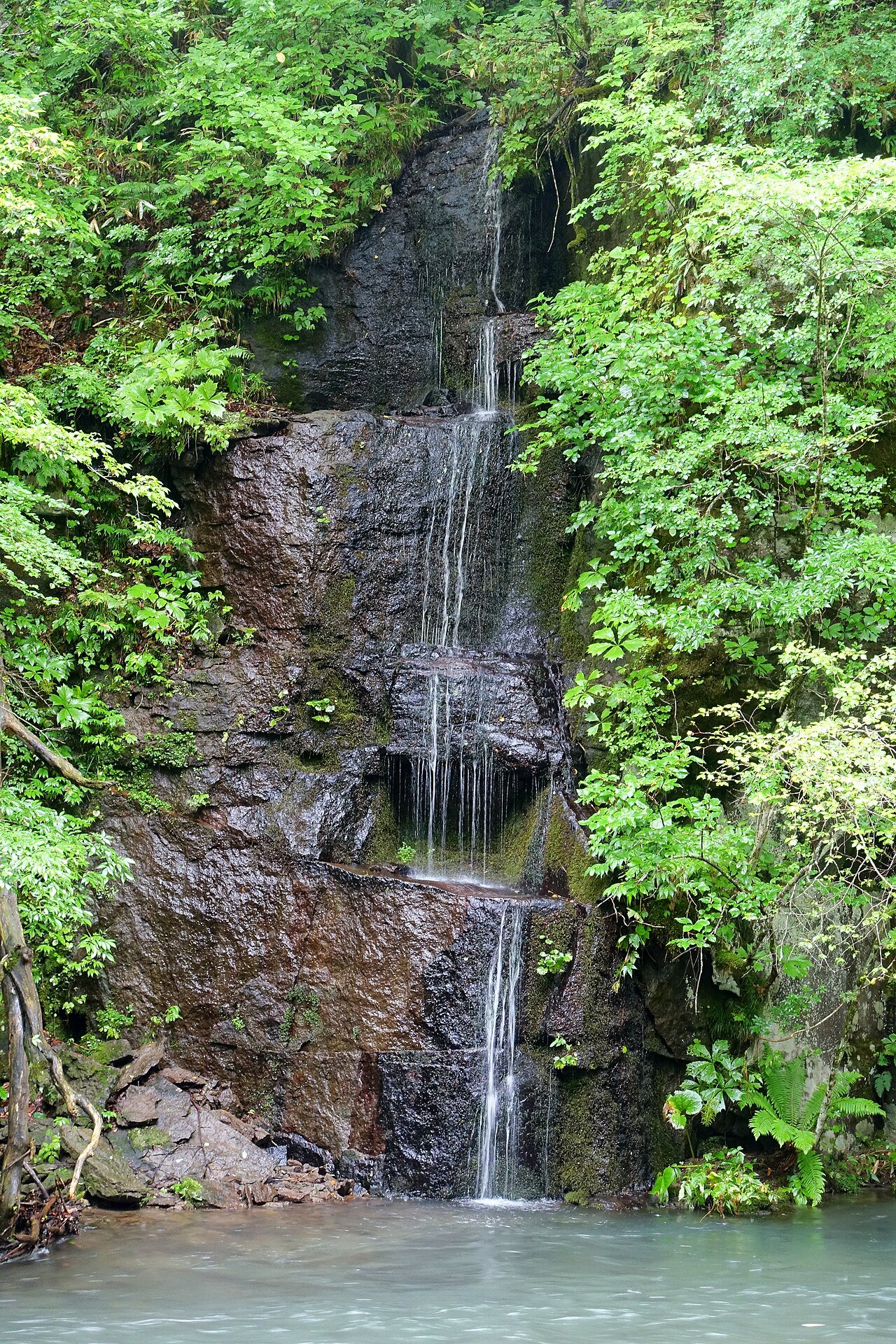 奥入瀬渓流の滝
