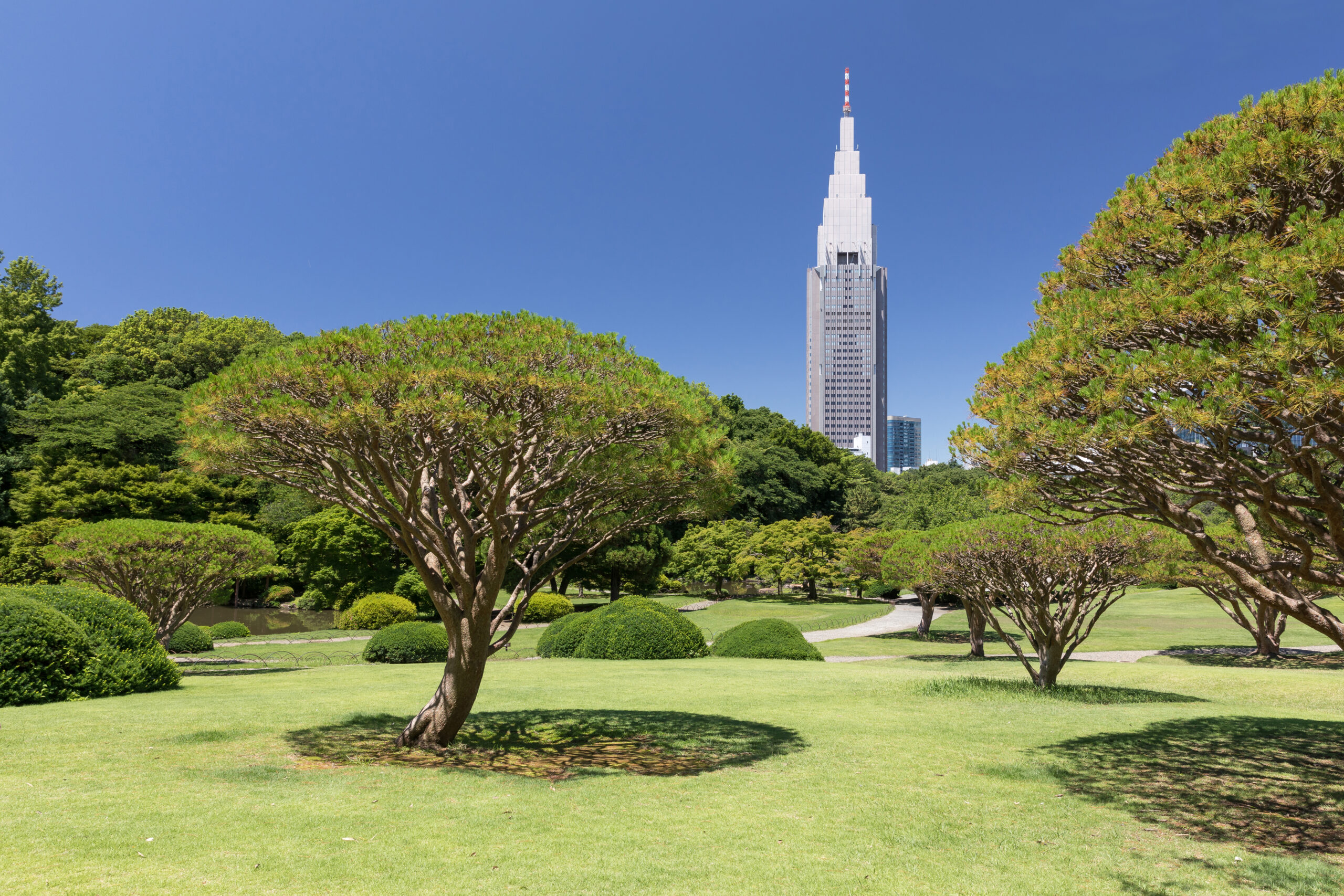 新宿御苑の庭園とドコモタワー