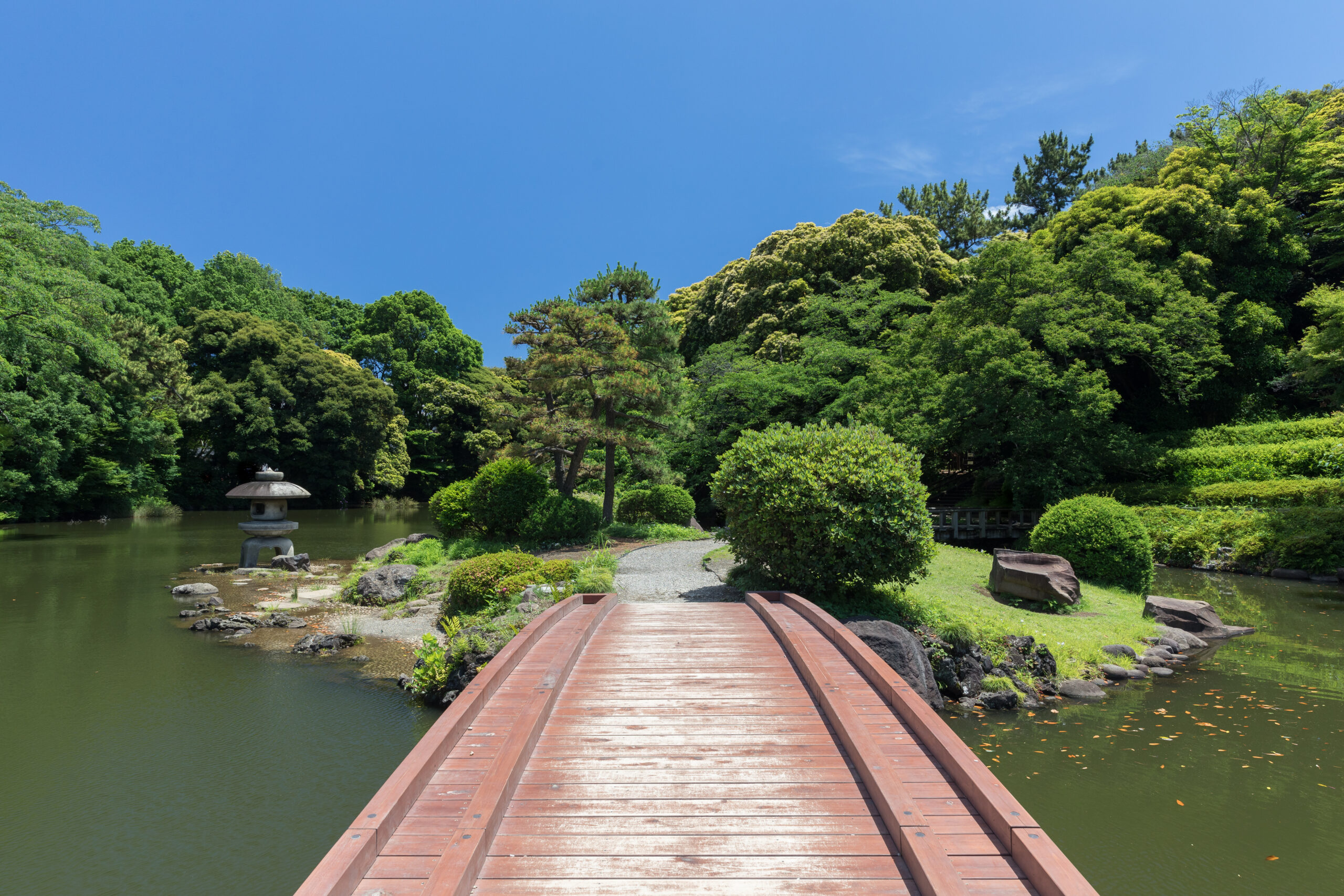 新宿御苑の木橋と緑の庭園