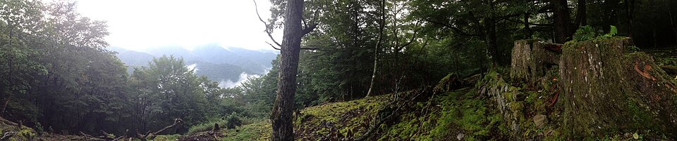 熊野古道の森