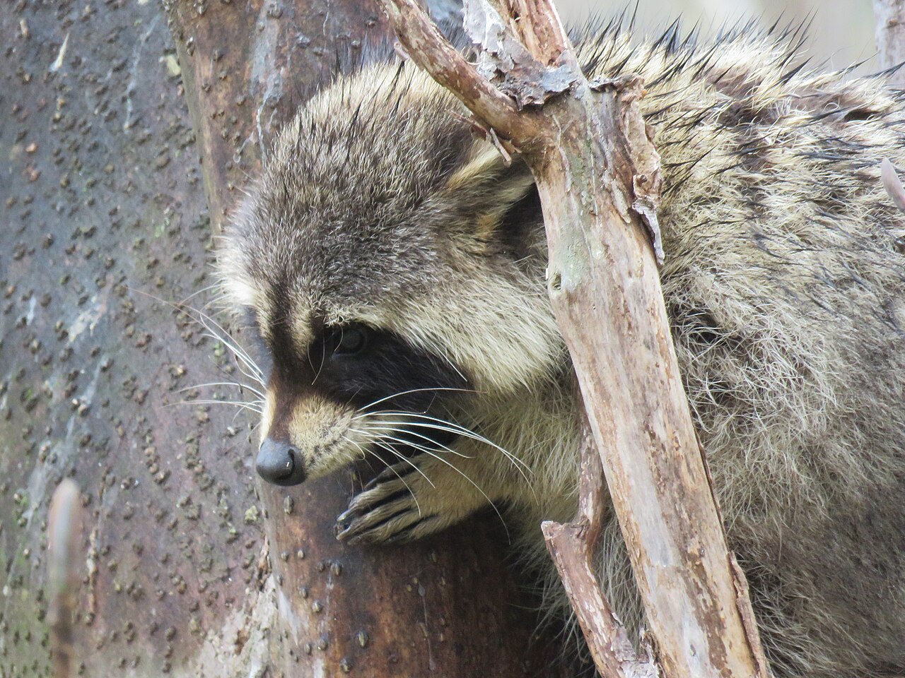 登別温泉の外観