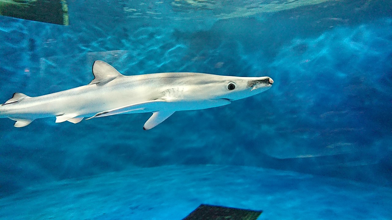 仙台うみの杜水族館の外観