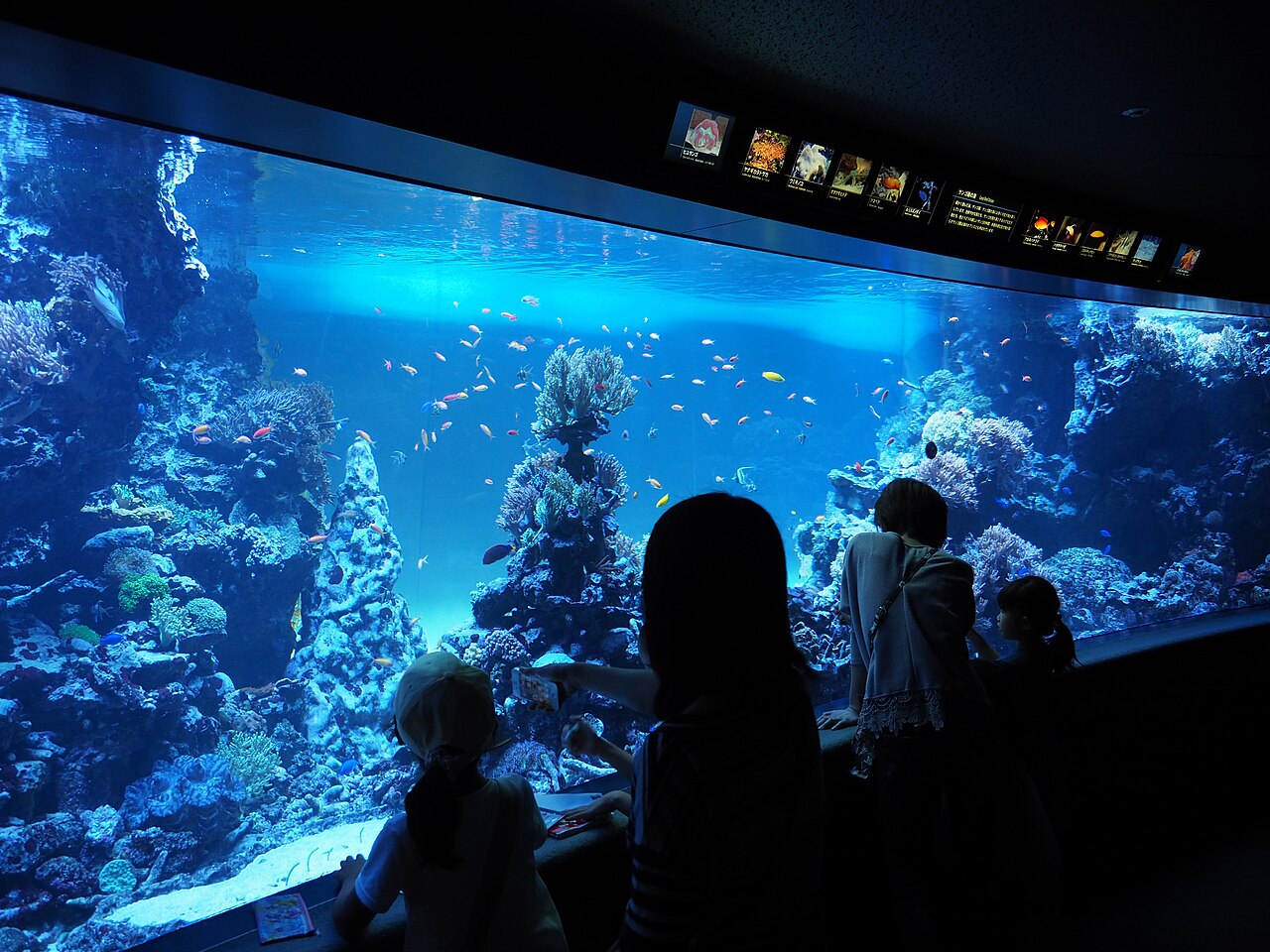 サンシャイン水族館の外観