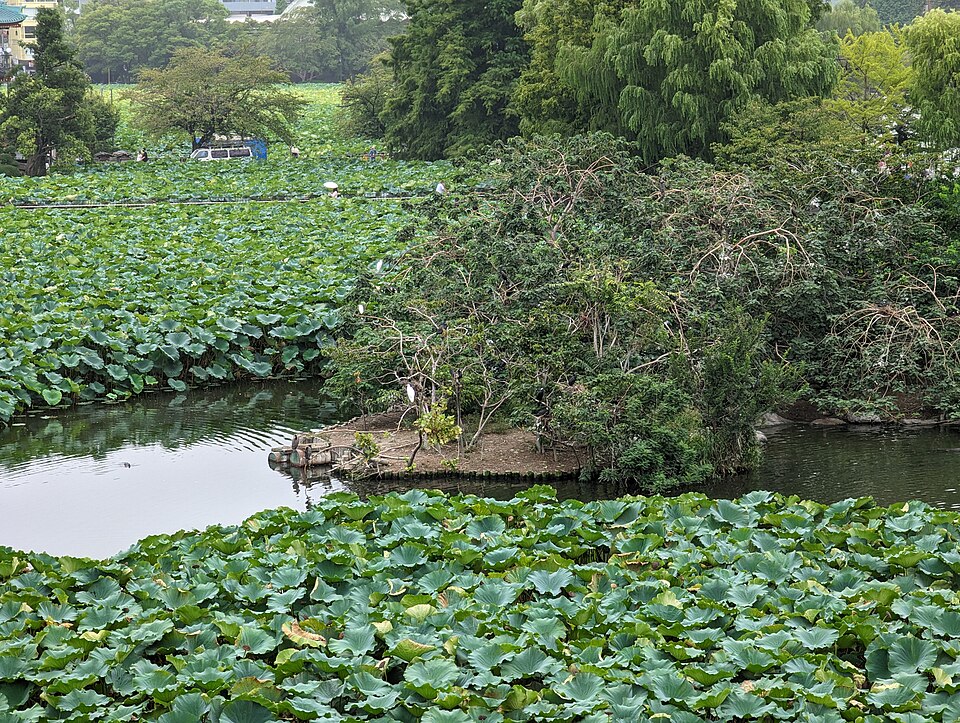 上野動物園の外観