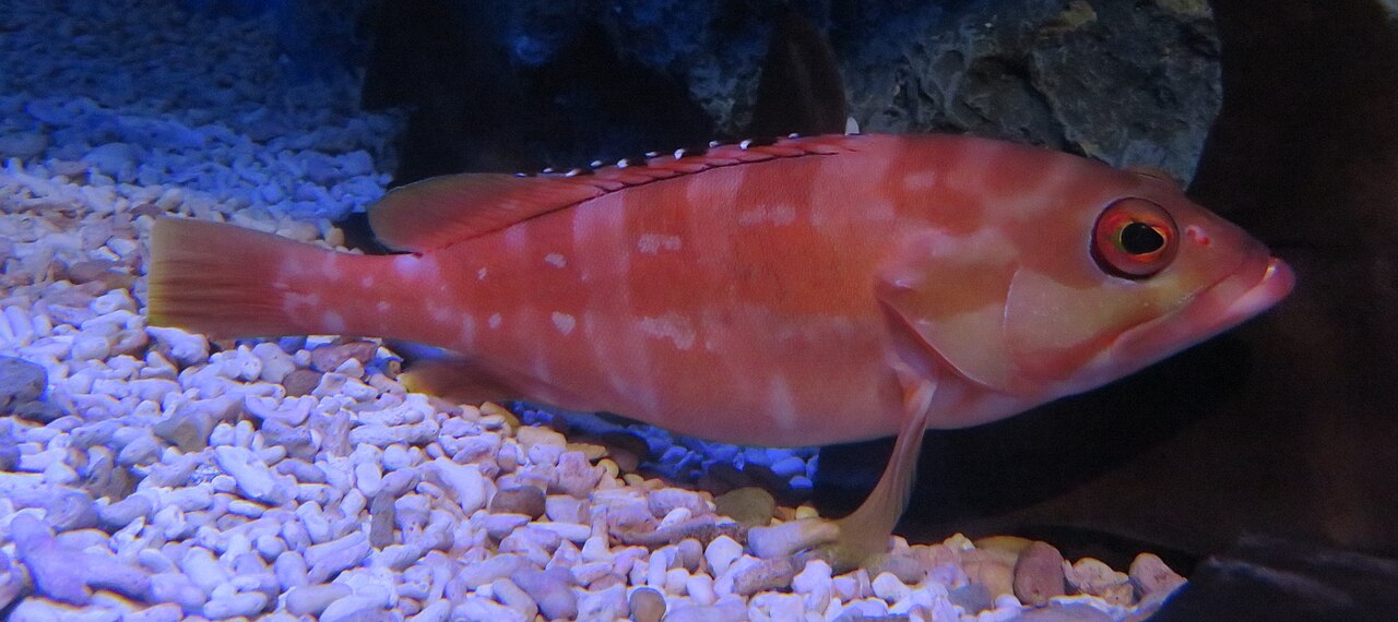 すみだ水族館の外観