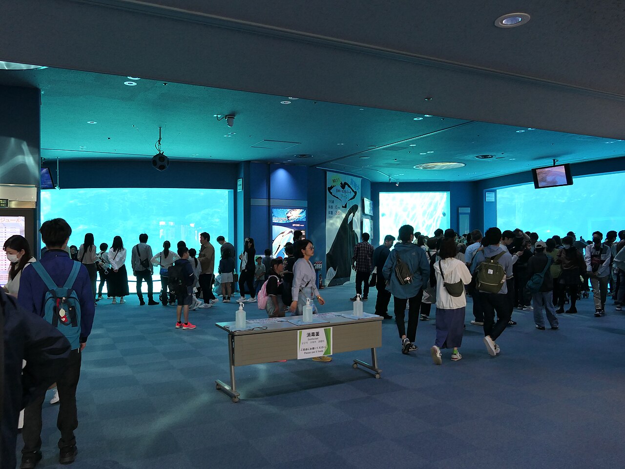 名古屋港水族館の風景