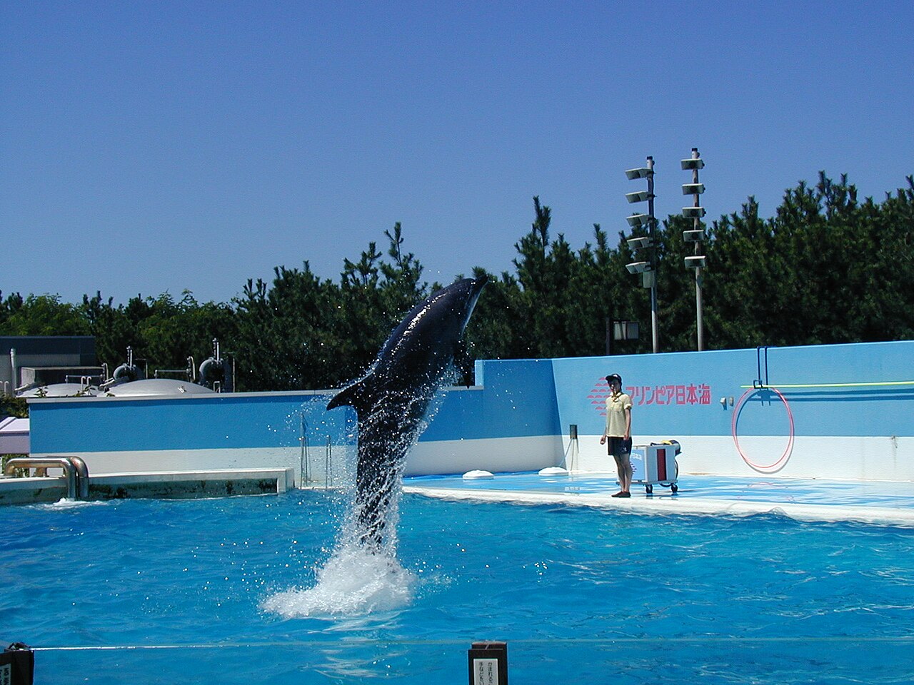マリンピア日本海の風景