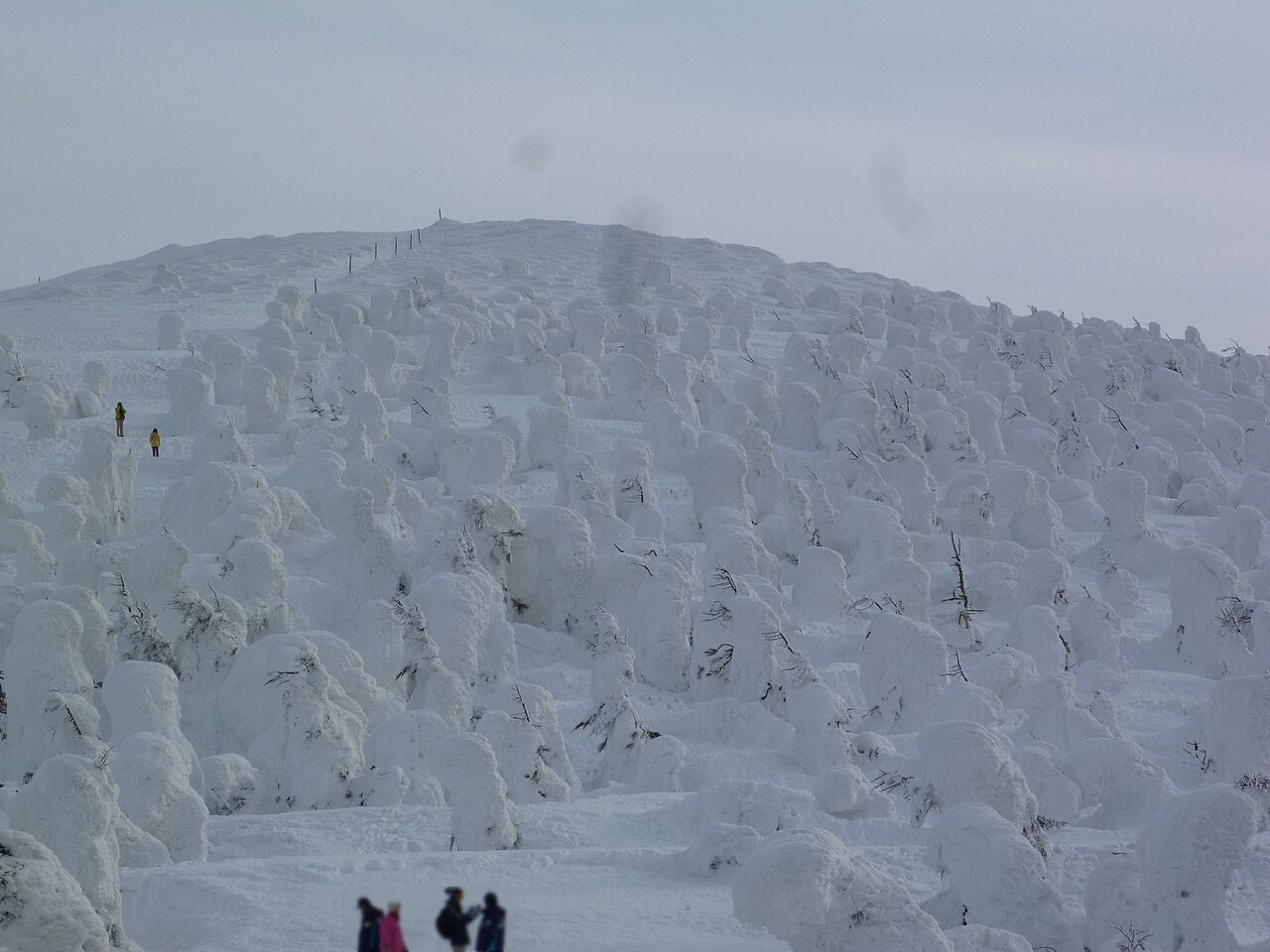 蔵王温泉スキー場の樹氷（スノーモンスター）