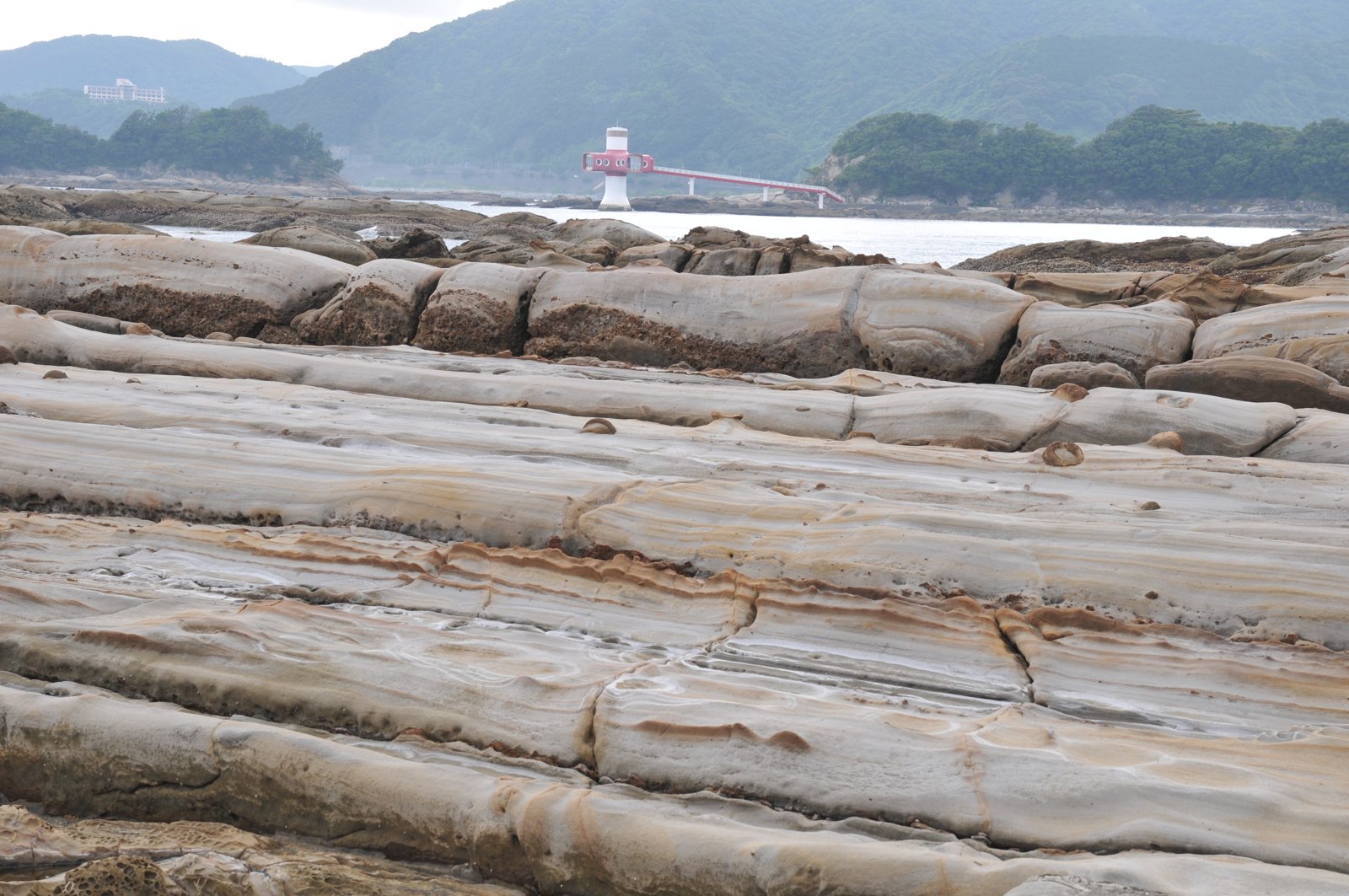 竜串海岸の奇岩
