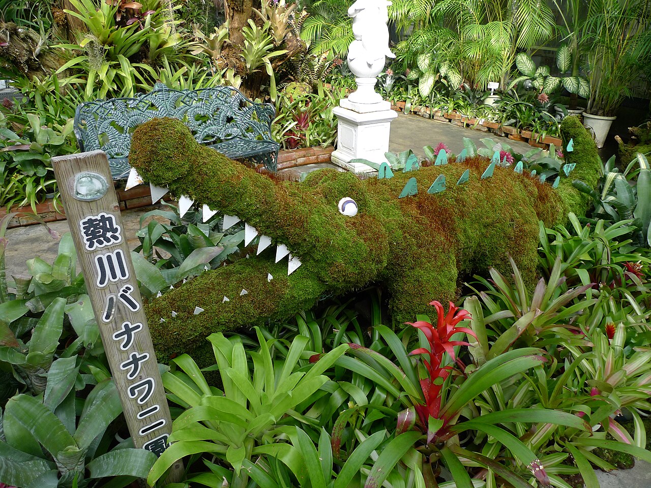 熱川バナナワニ園のワニ