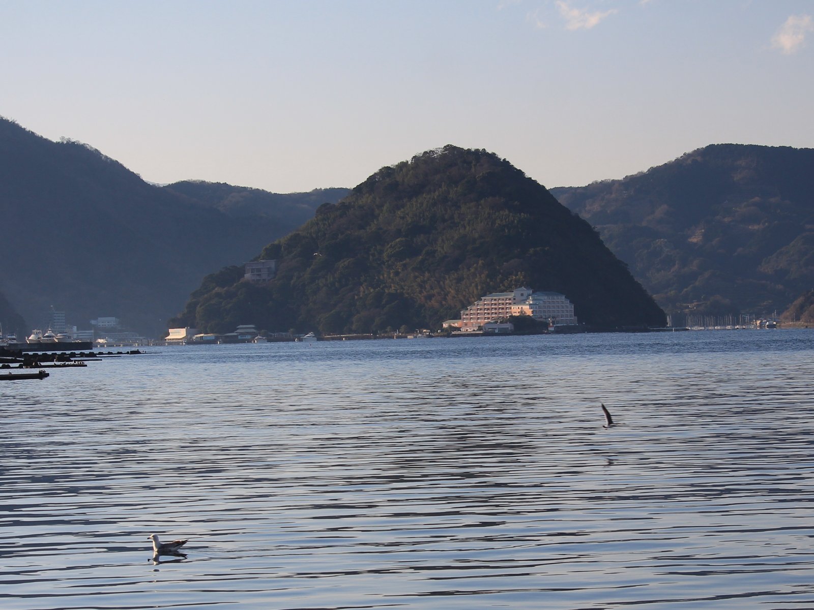 静浦港から望む淡島