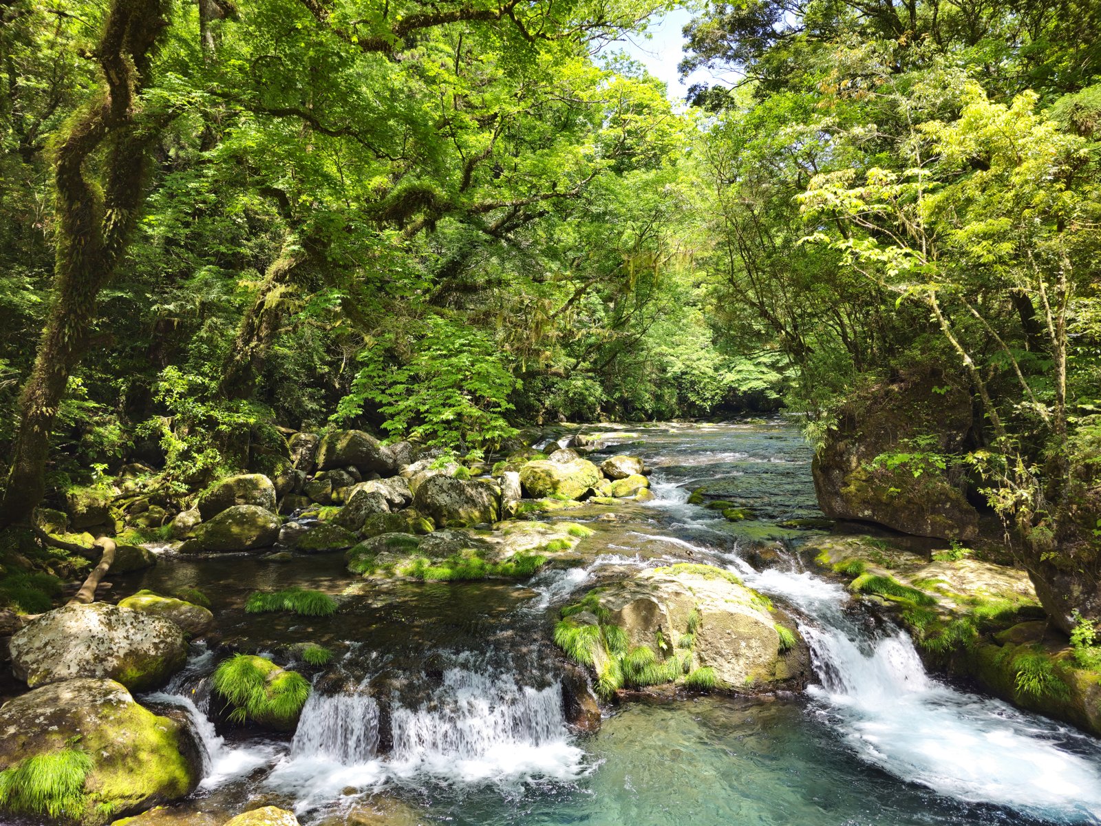 菊池渓谷 広河原の渓流