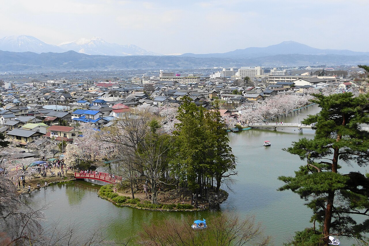 臥竜公園の桜
