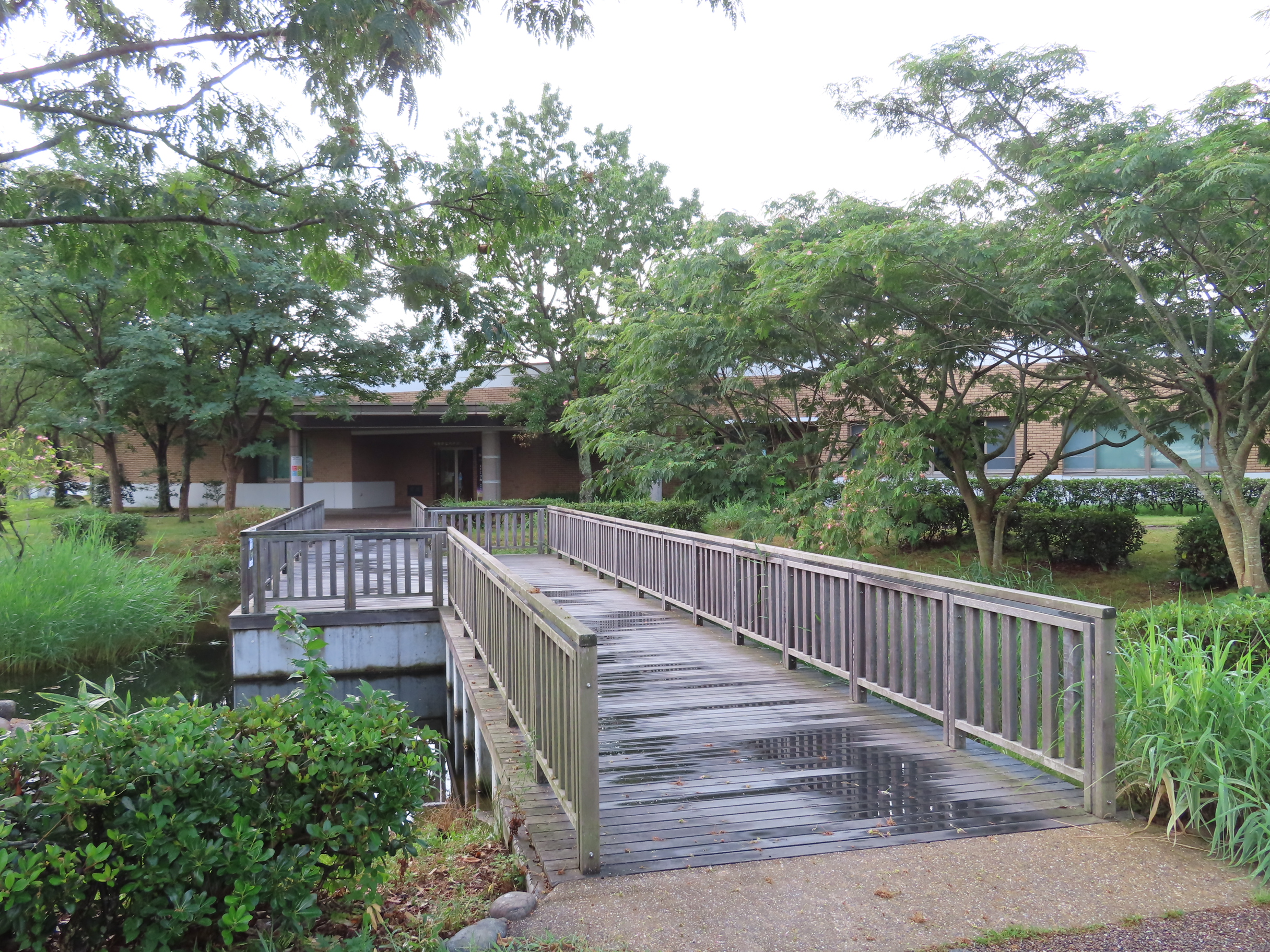 宍道湖自然館ゴビウス 出雲市園町 水族館