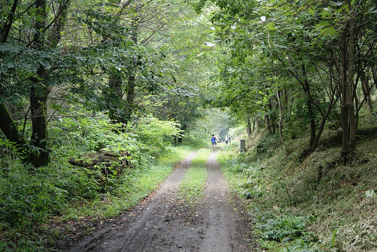 ぐんま昆虫の森の遊歩道（群馬県桐生市）