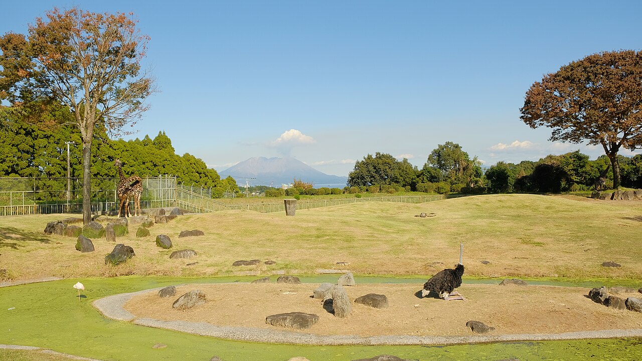 鹿児島市平川動物公園の園内