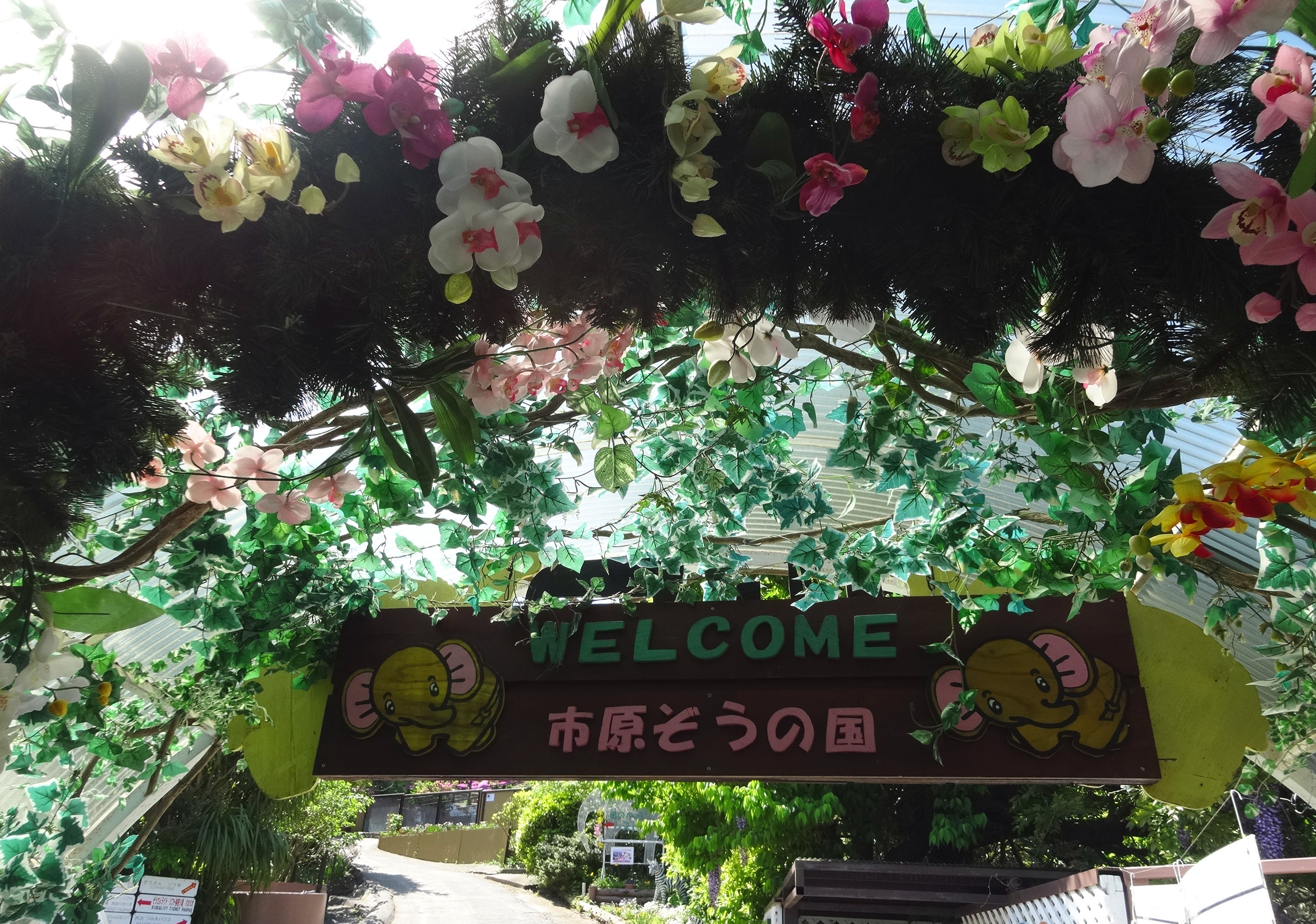 市原ぞうの国の園内風景