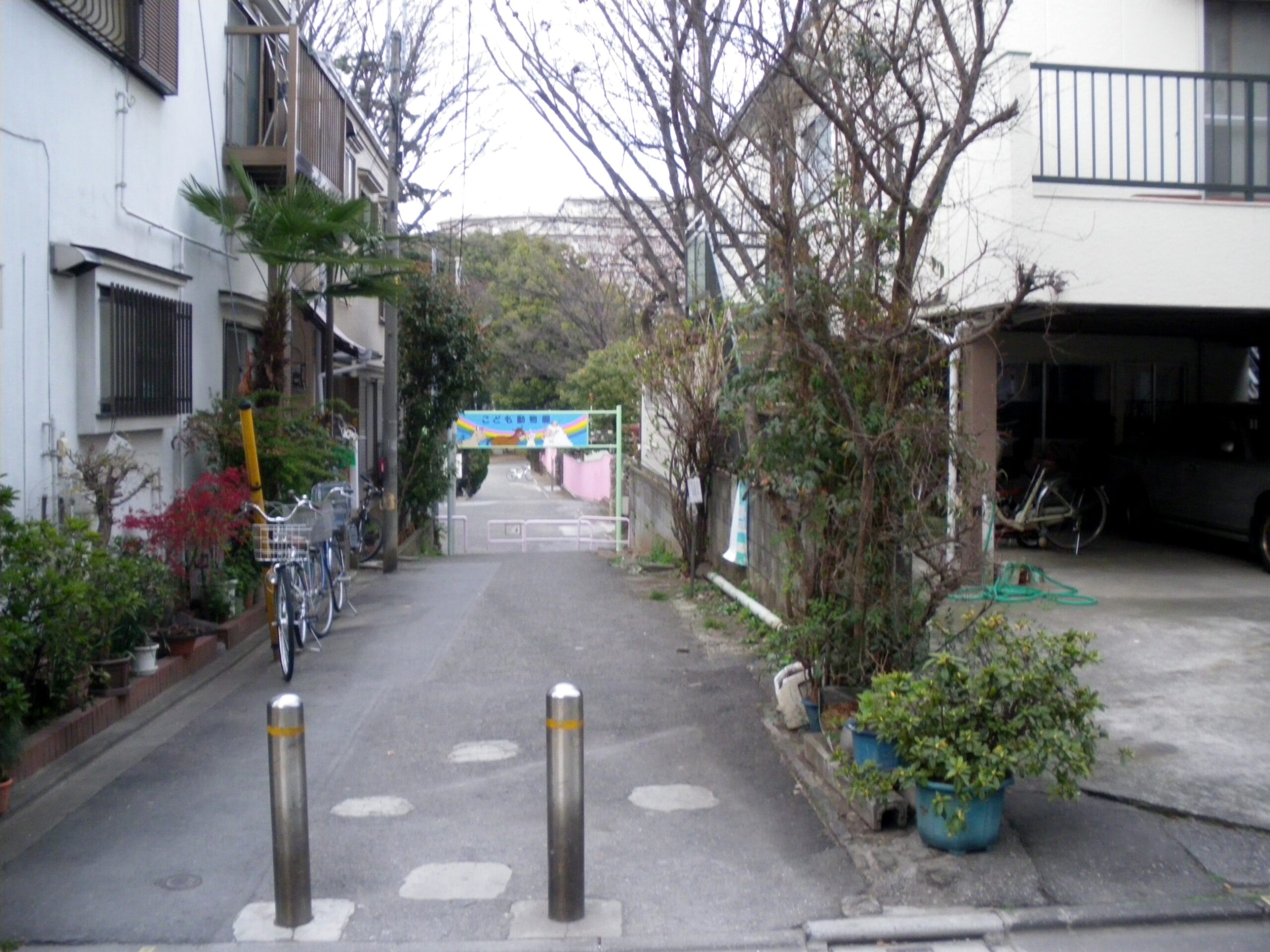 東板橋公園の池