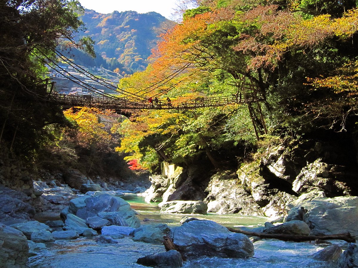紅葉に染まる祖谷のかずら橋