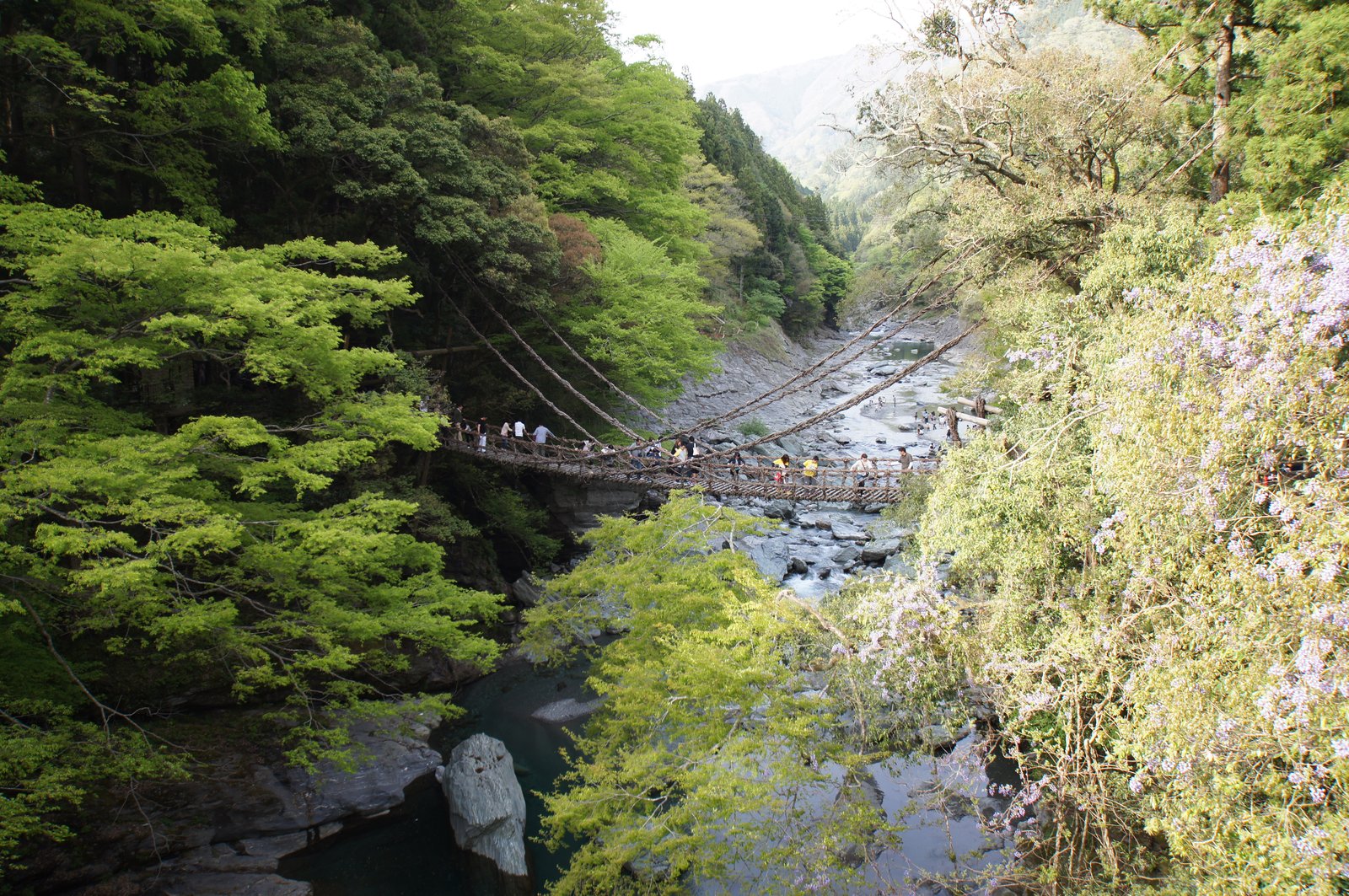 祖谷のかずら橋(徳島県三好市)