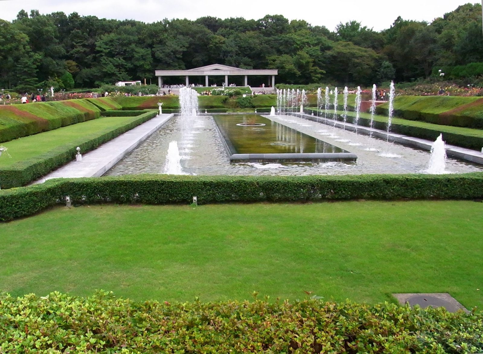 神代植物公園のバラ園