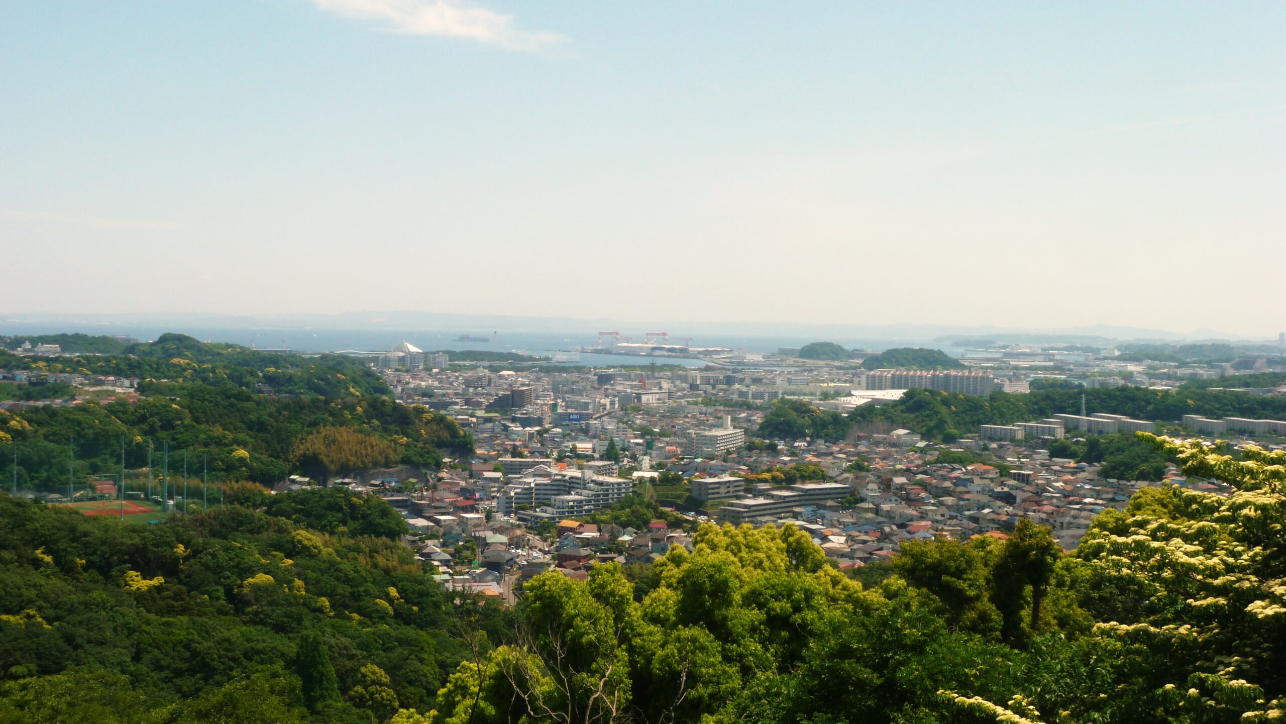 横浜市立金沢動物園の園内風景