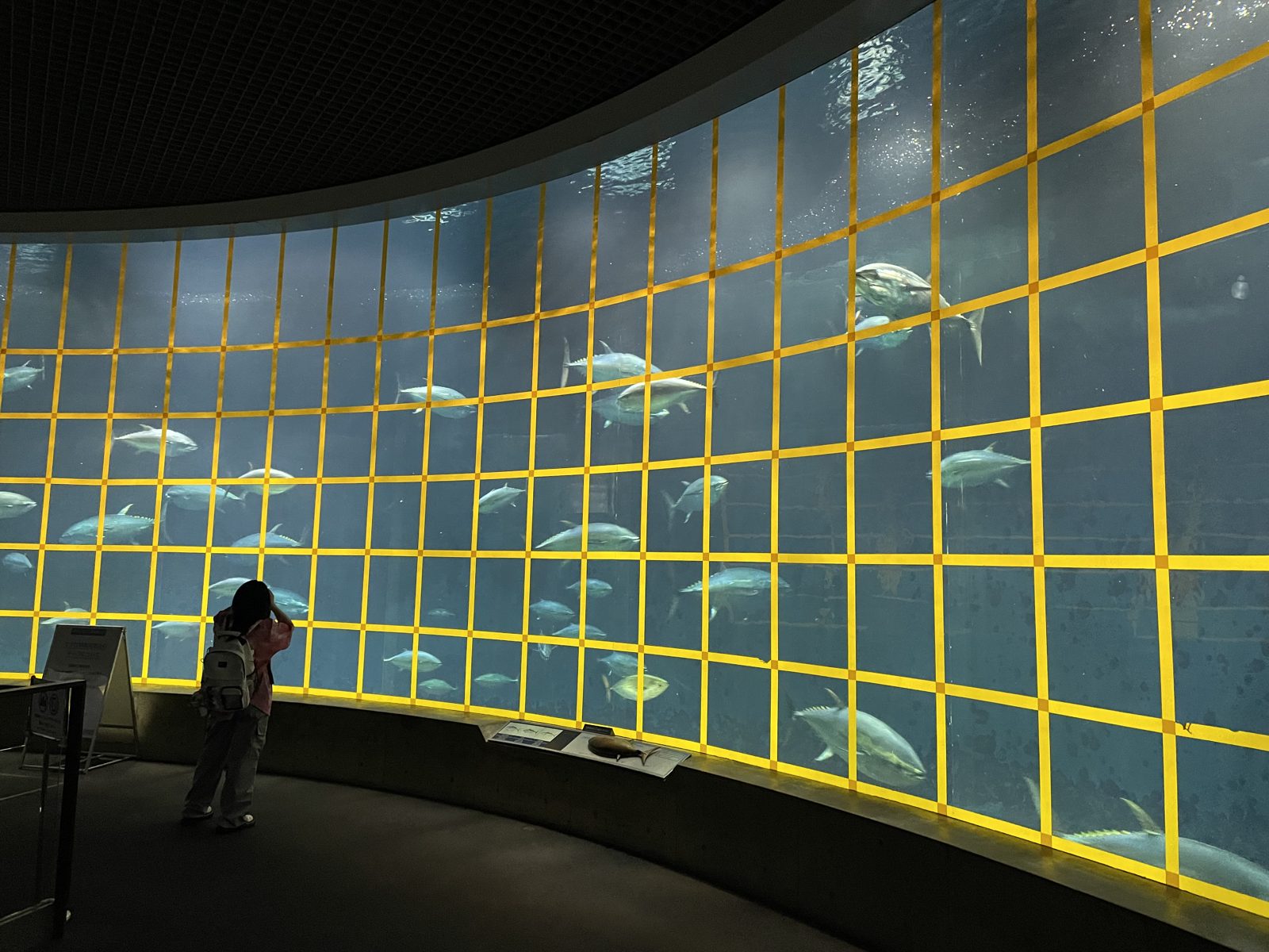 葛西臨海水族園の大型水槽