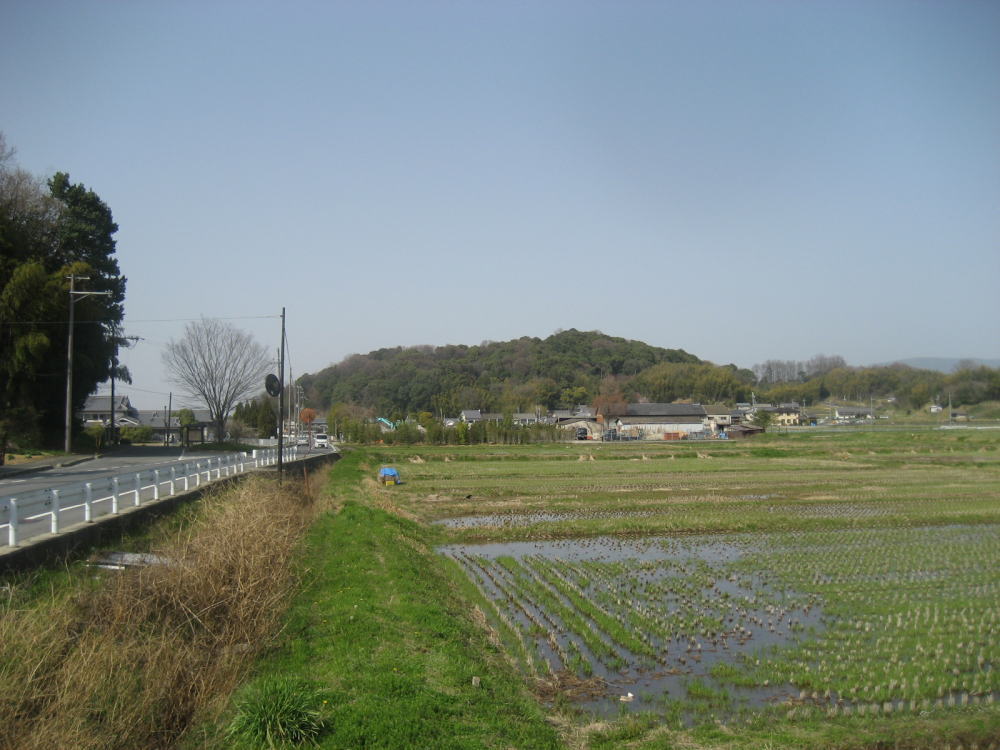 橿原市昆虫館がある天香久山（大和三山）