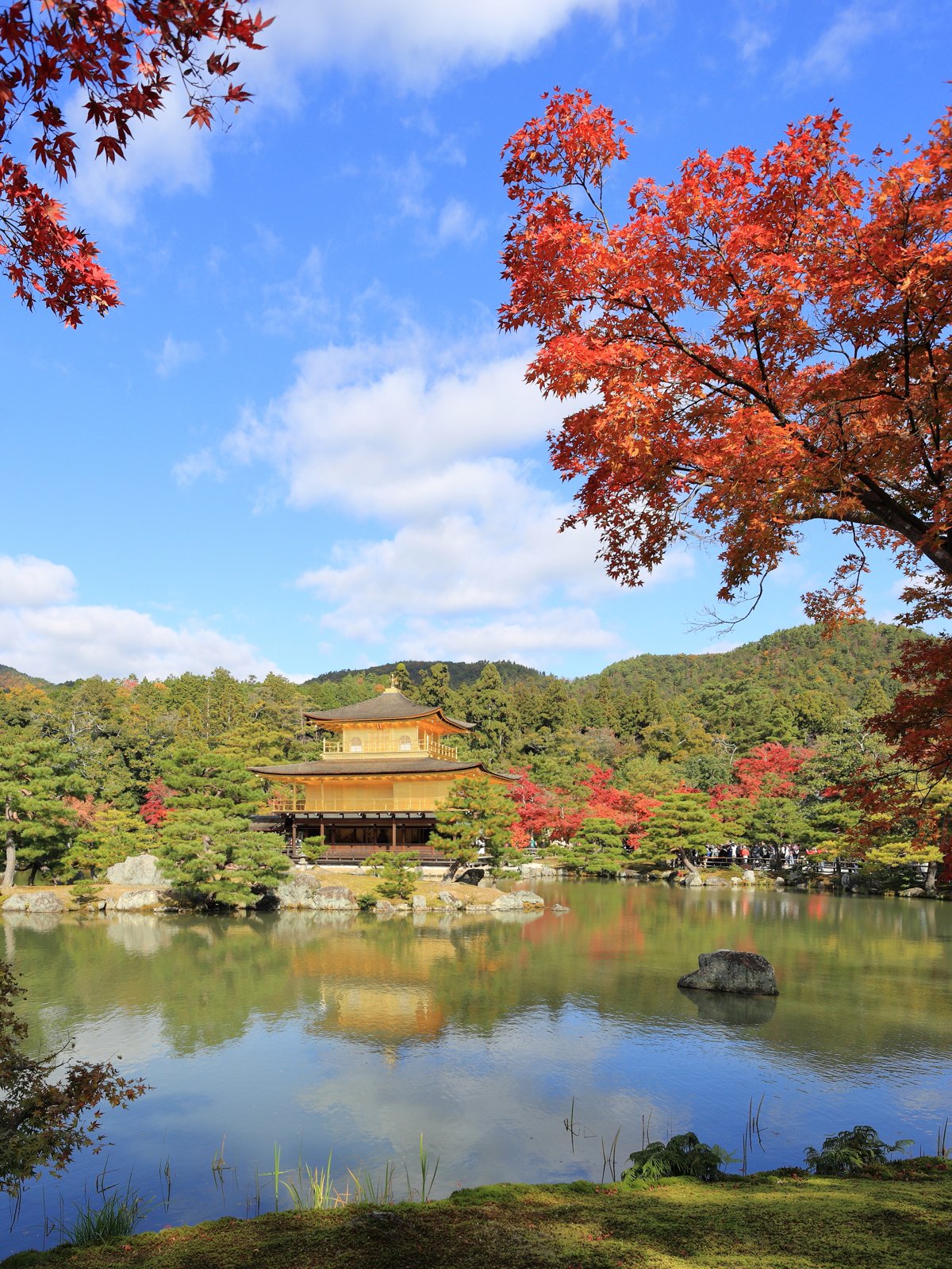 金閣寺（鹿苑寺）の金色に輝く舎利殿