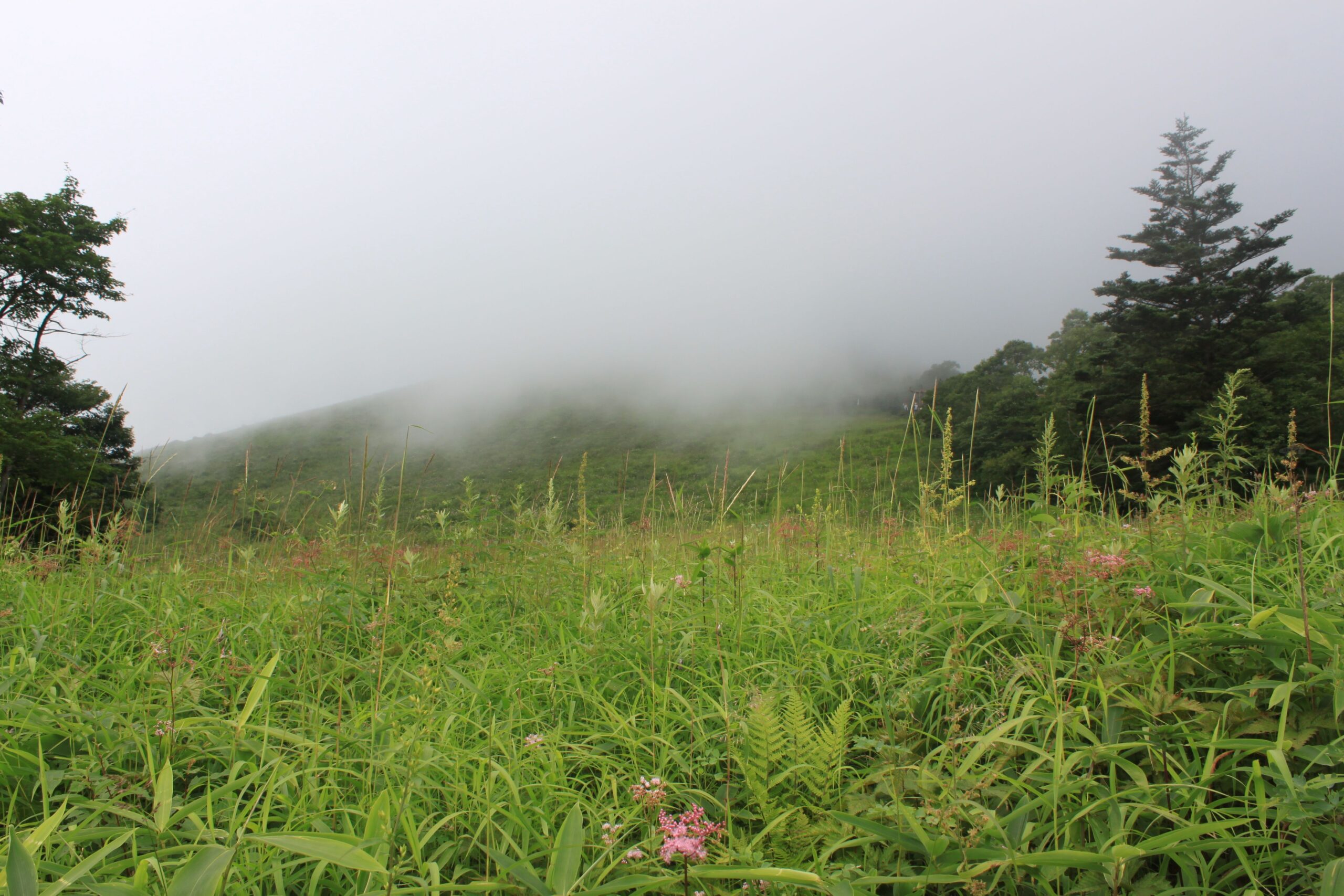 霧降高原のパノラマ風景（赤薙山と高原の景観）