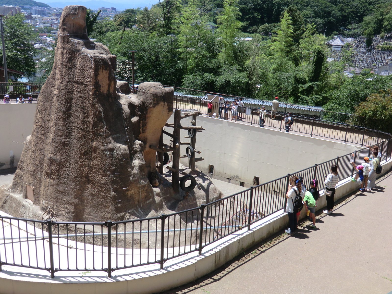 桐生が岡動物園のサル山