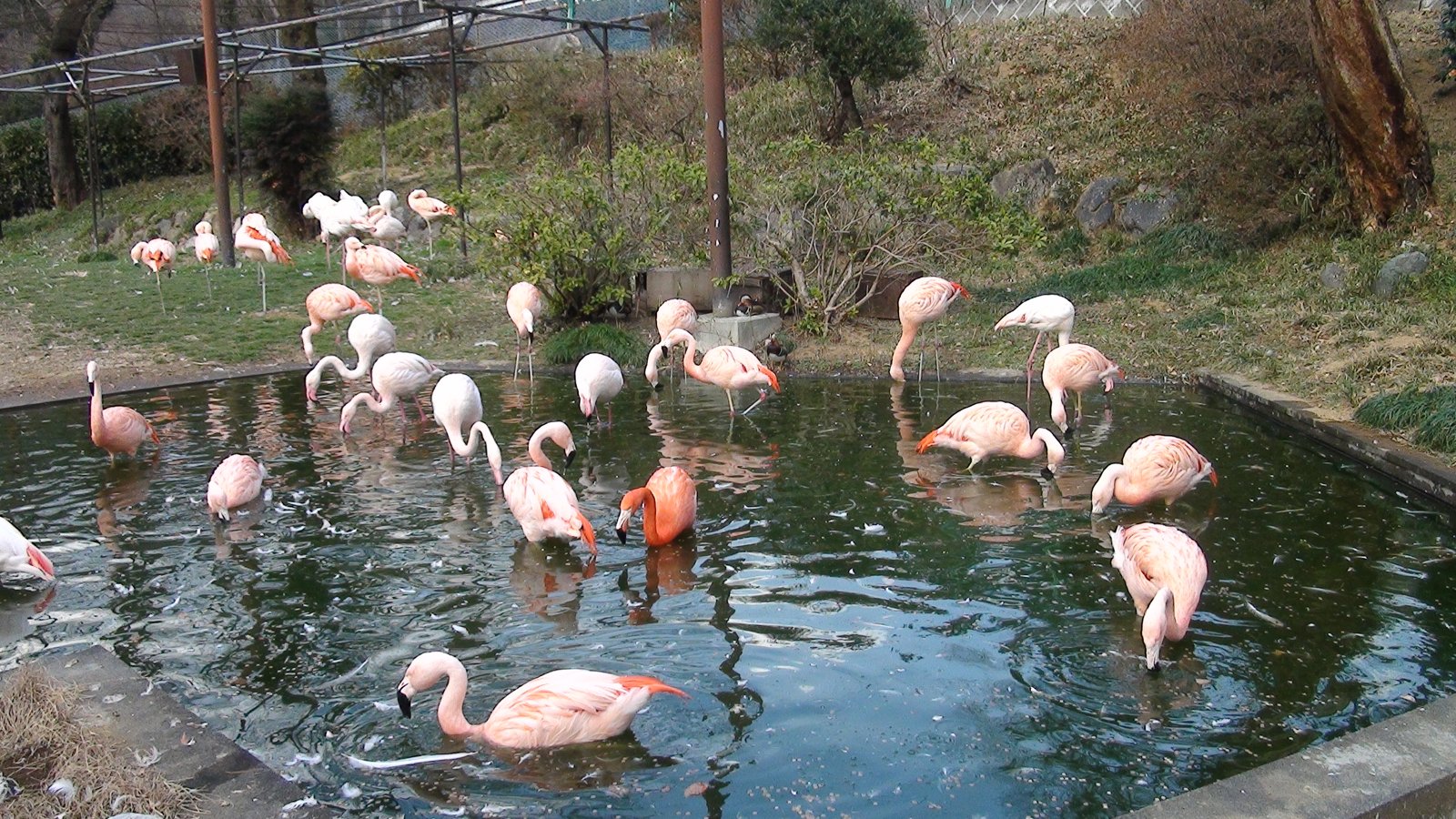 桐生が岡動物園の入り口