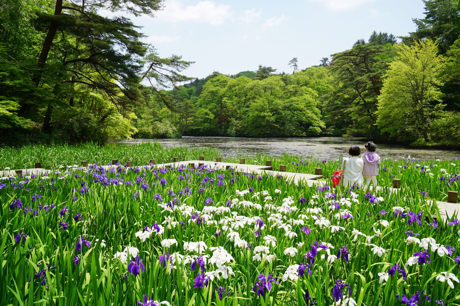 神戸市立森林植物園の園内風景