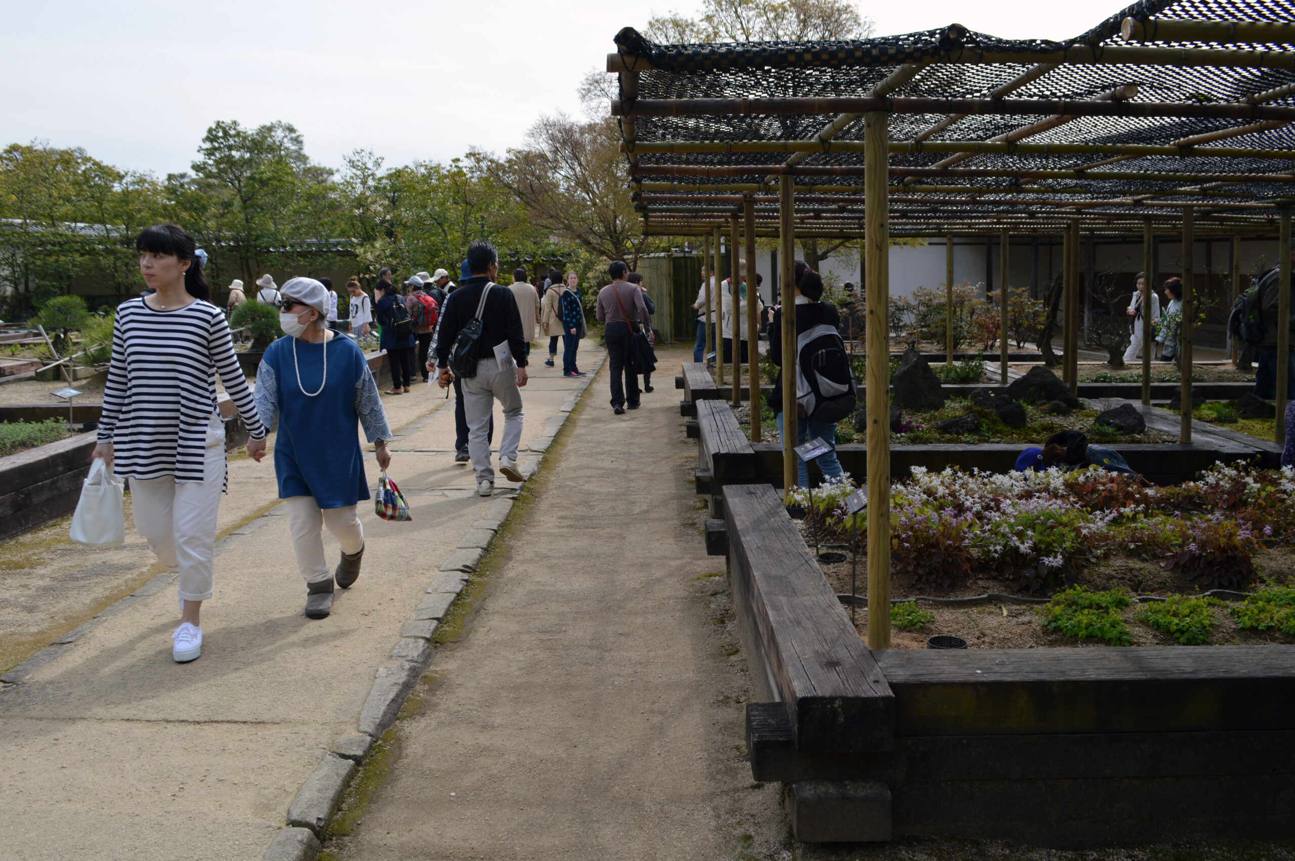 好古園 苗の庭の様子