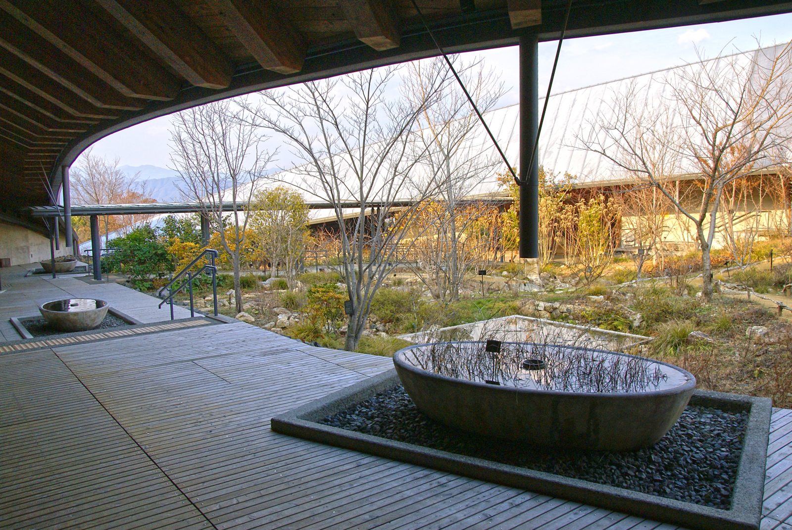 牧野植物園の園内風景
