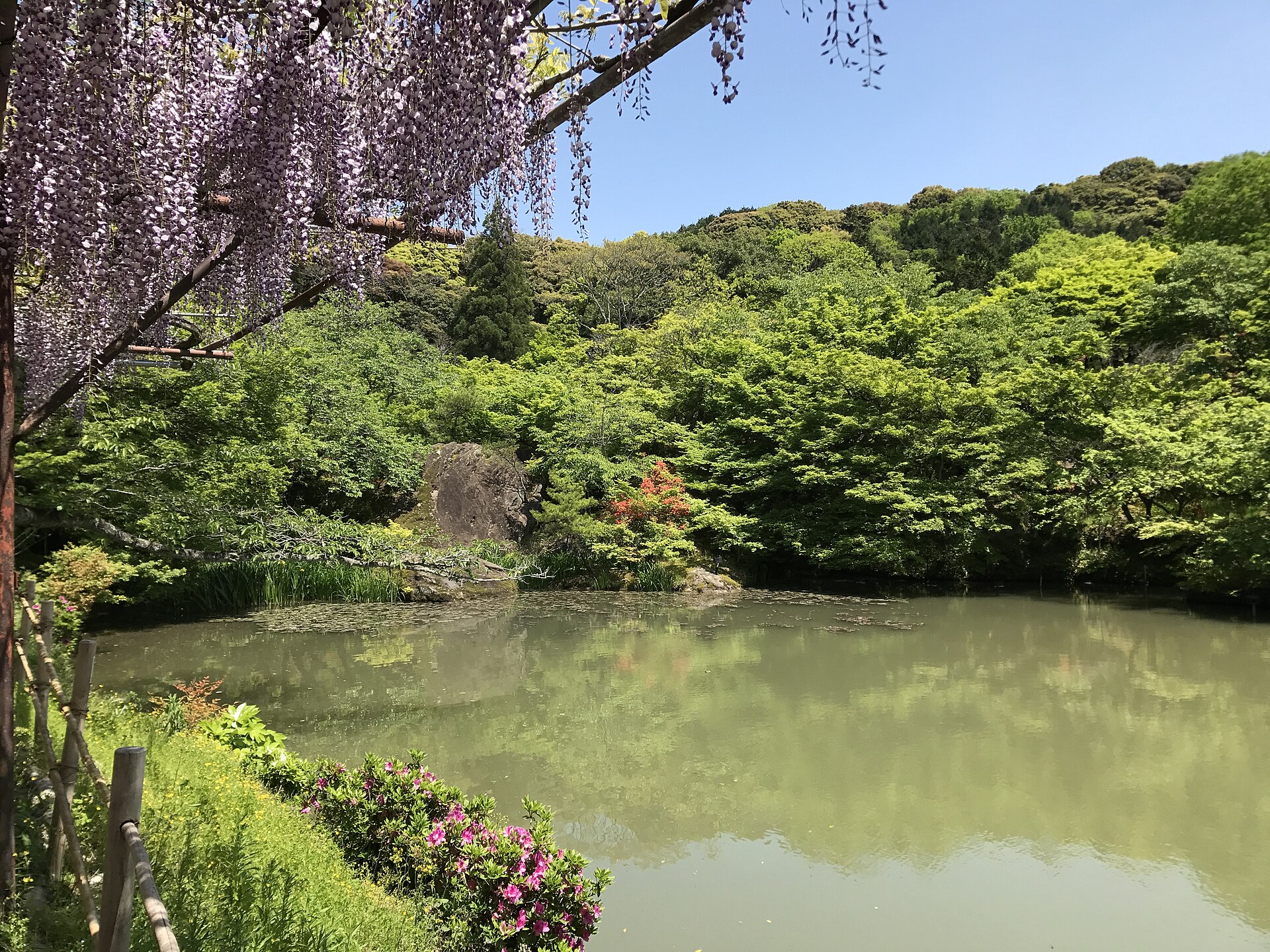 御船山楽園の池と御船山